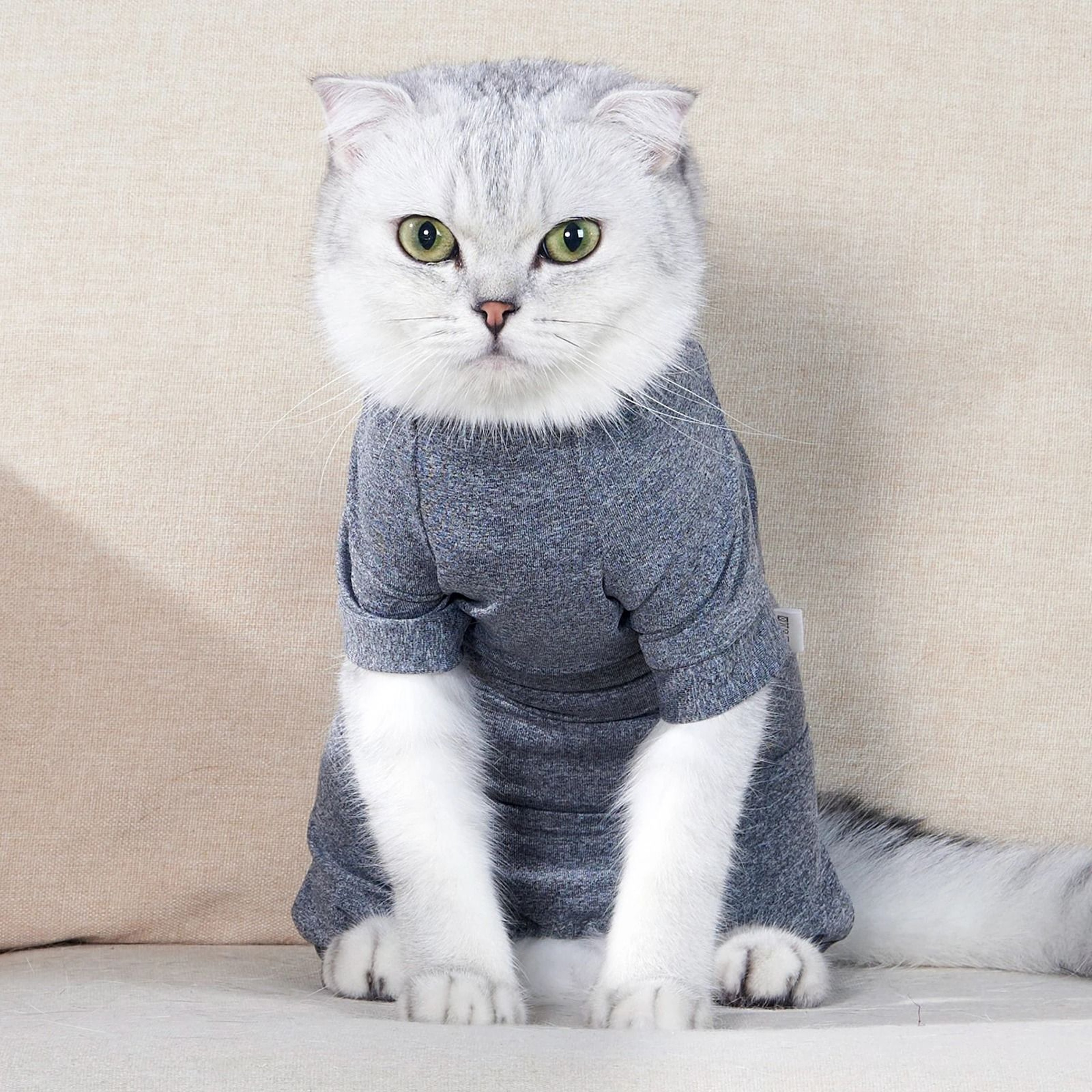 Cotton Pet Surgery Recovery Suit 2