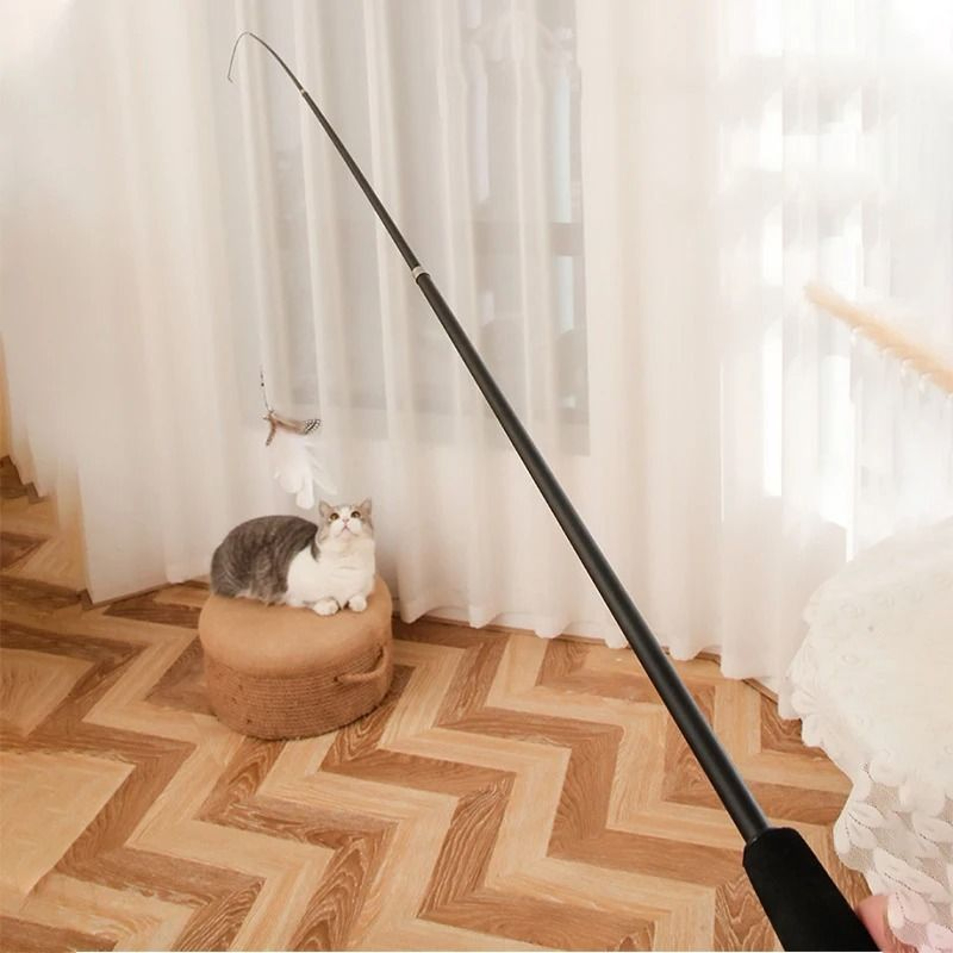 Extended Telescopic ExtraLong Cat Teaser Wand 3