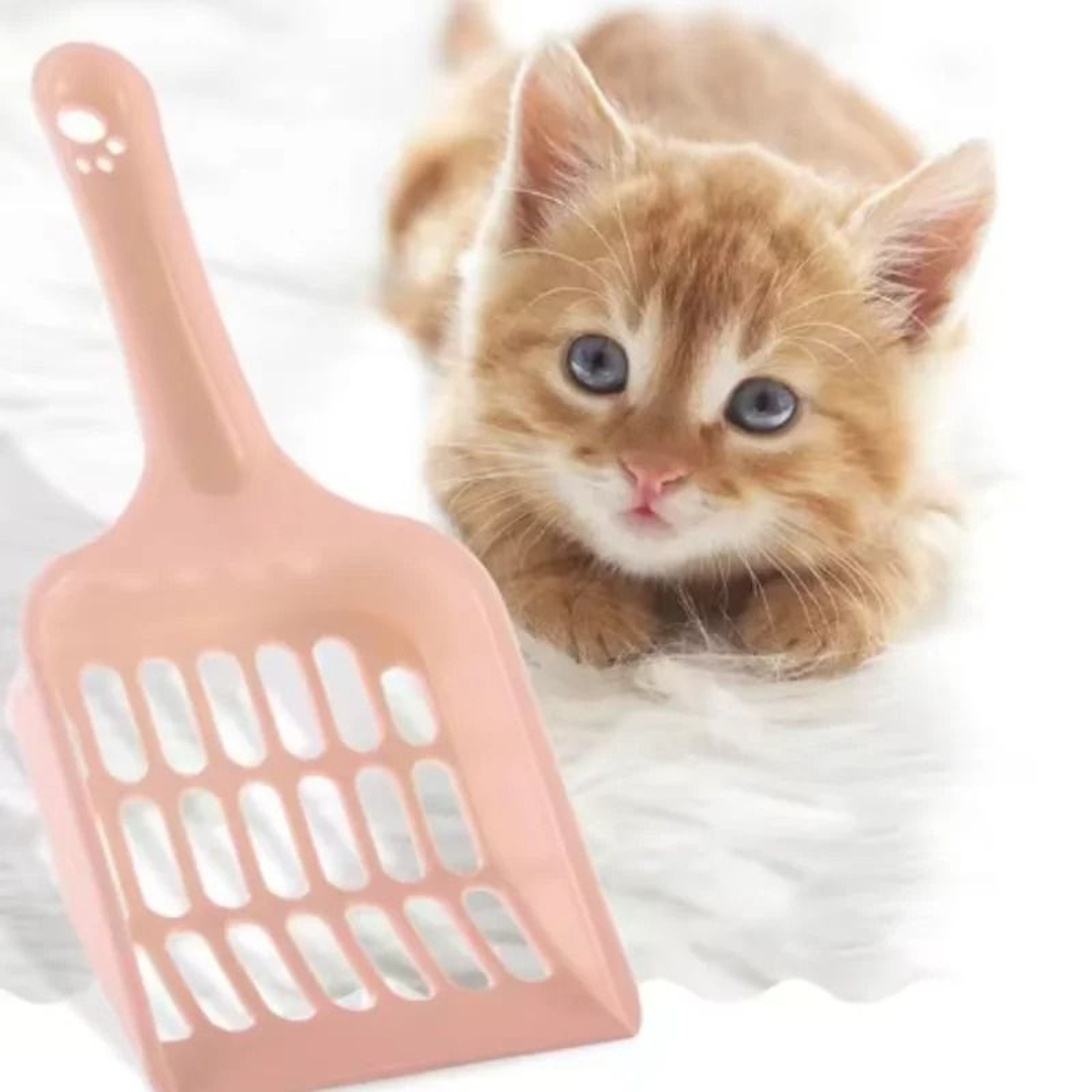 CandyColored Horizontal Handle Cat Litter Scoop 1