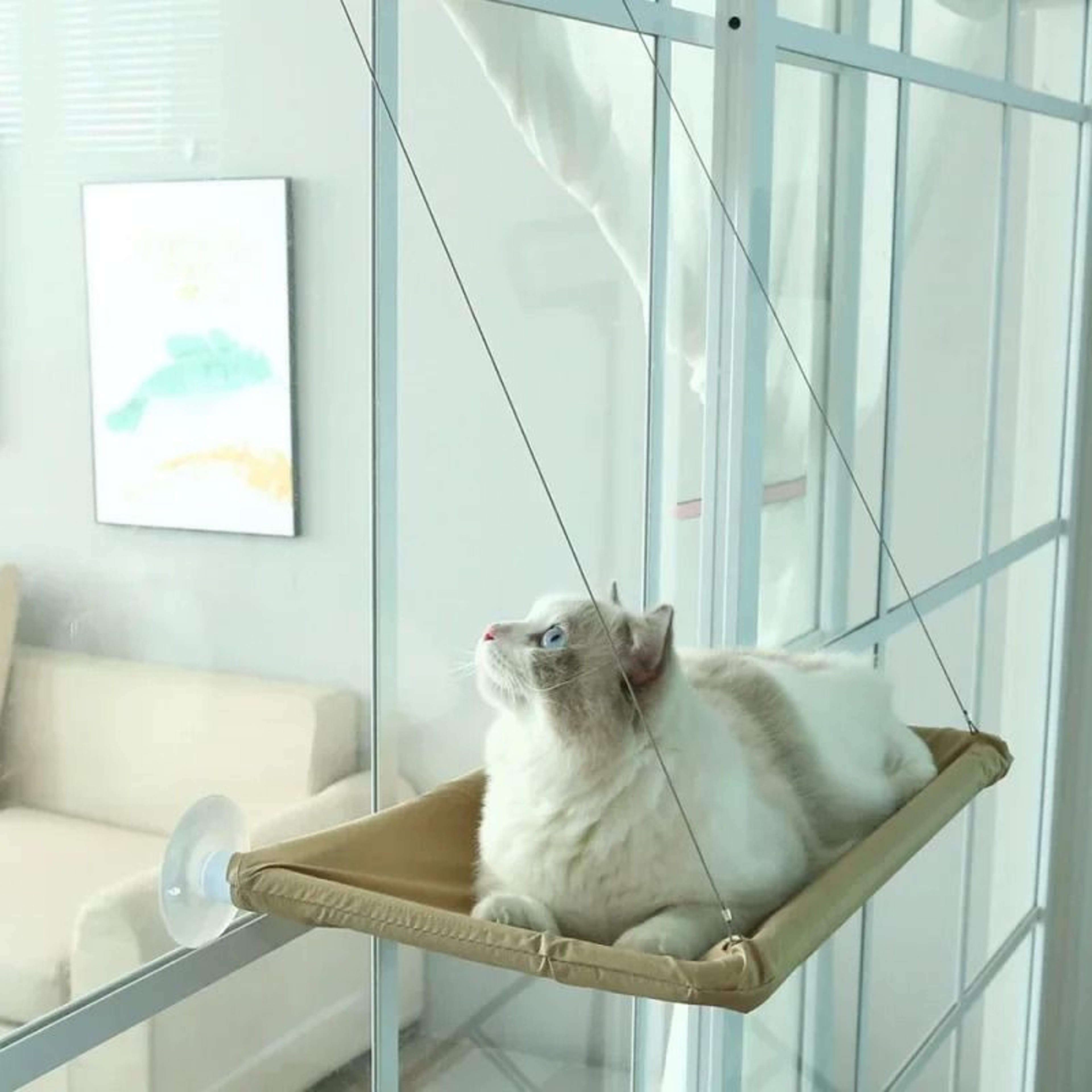 Aerial Hanging Window Cat Hammock 1