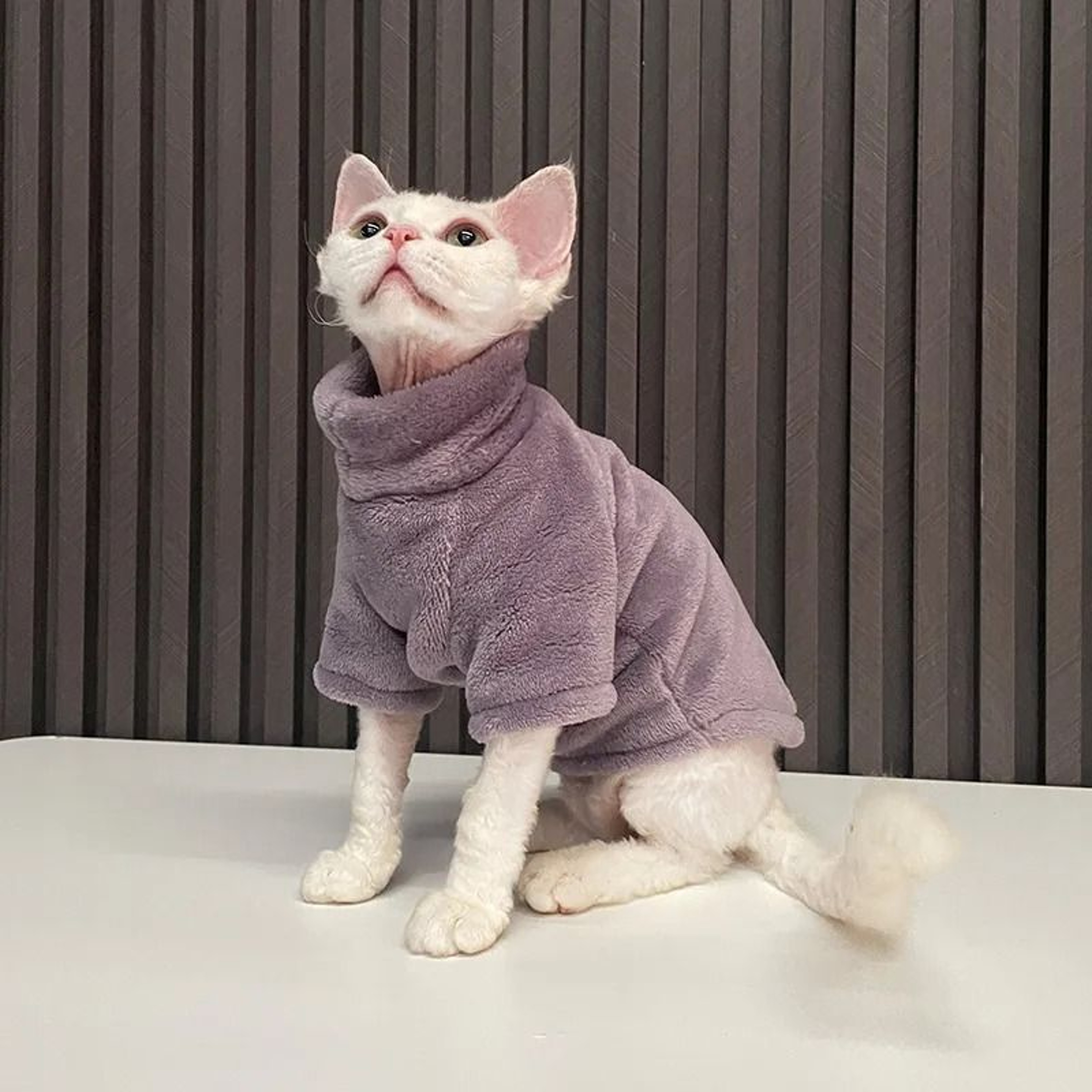 Turtleneck Fluff Pullover Cat Sweater Coat 10