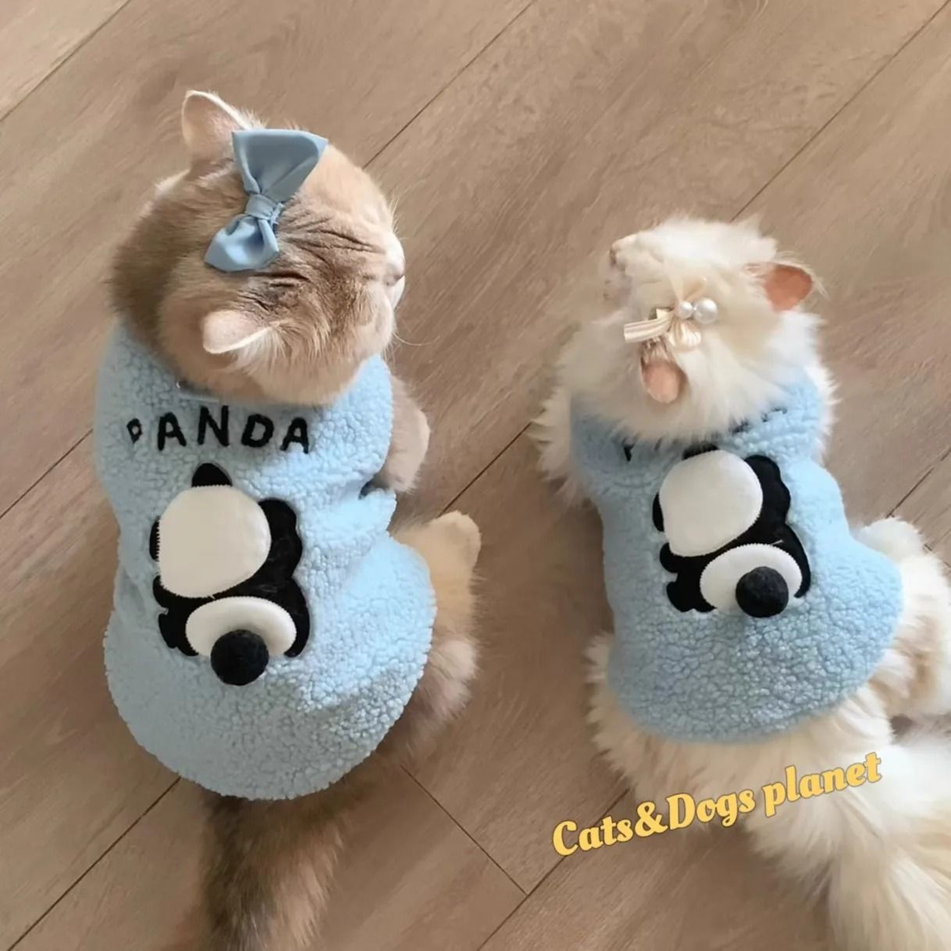 Cute Soft Cozy Pullover Cat Sweater 1