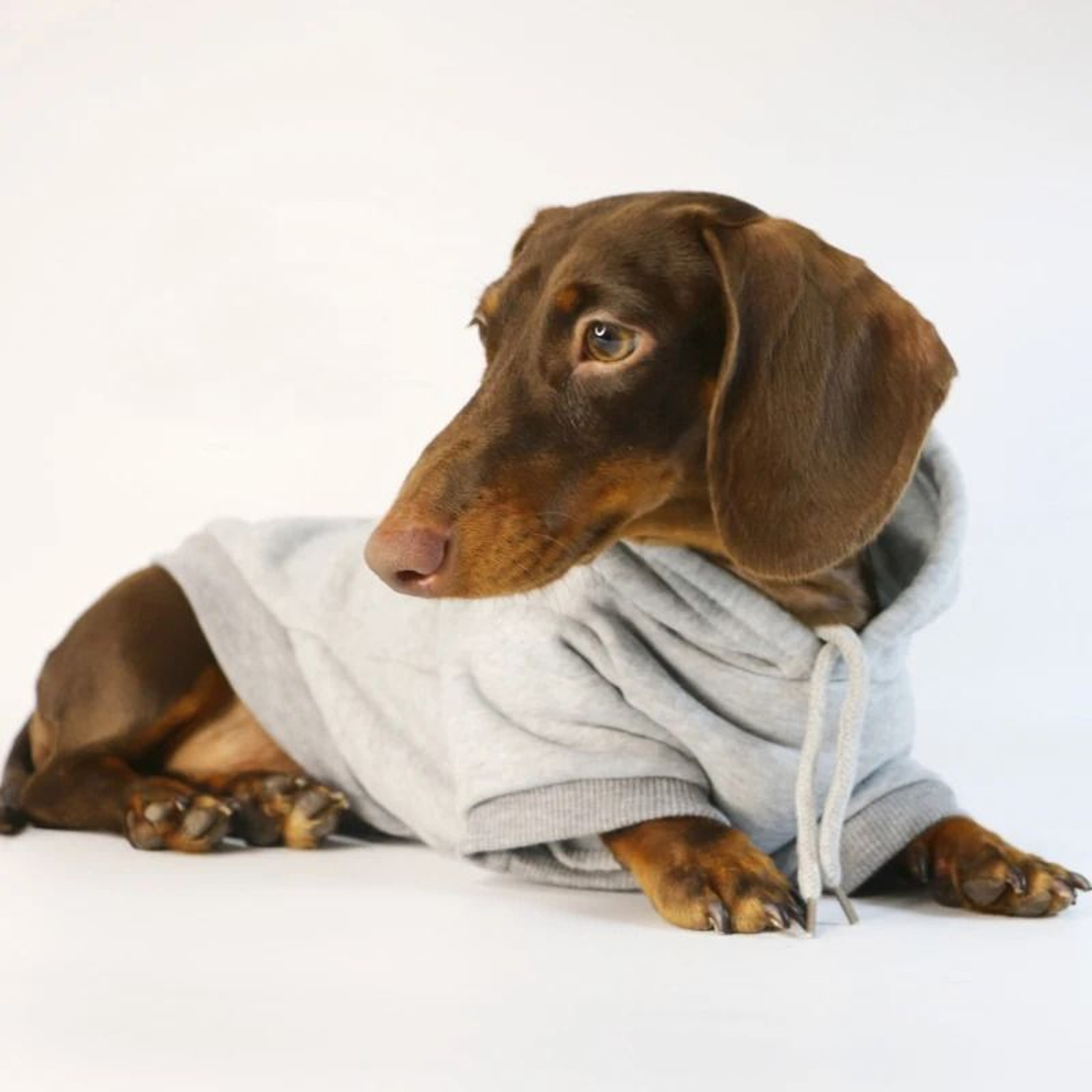 Cool Dog Sausage Pullover Hoodie 0