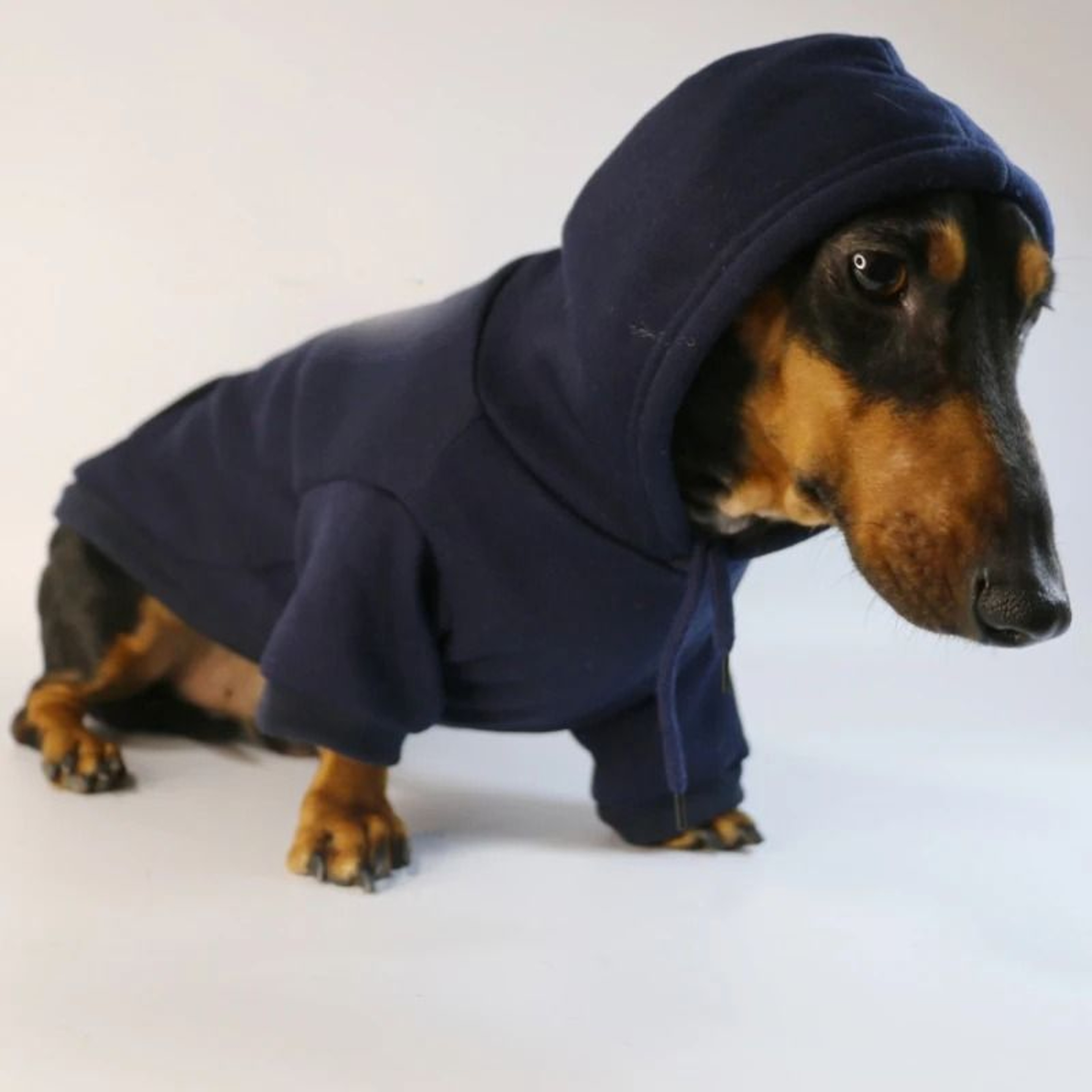 Cool Dog Sausage Pullover Hoodie 2