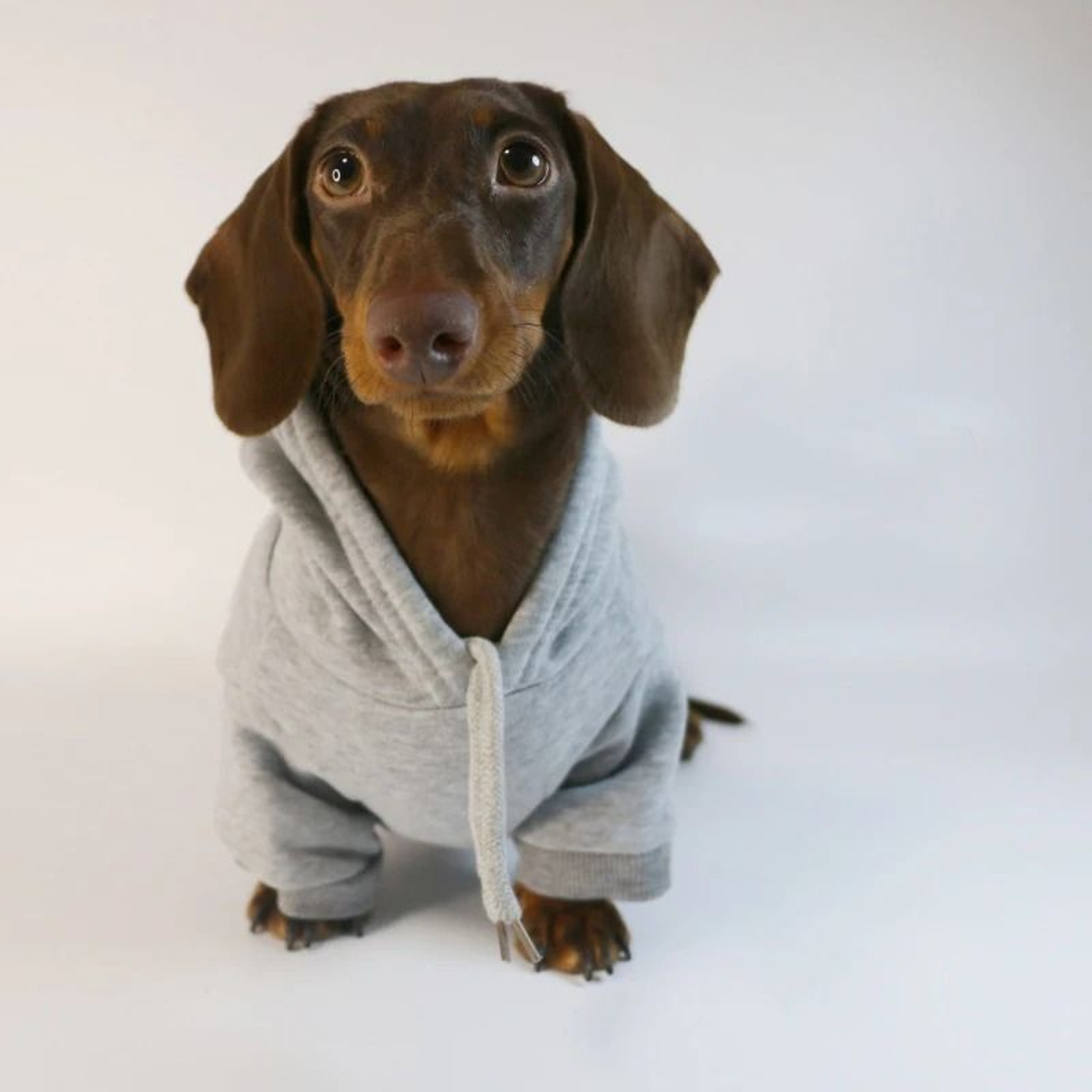 Cool Dog Sausage Pullover Hoodie 4