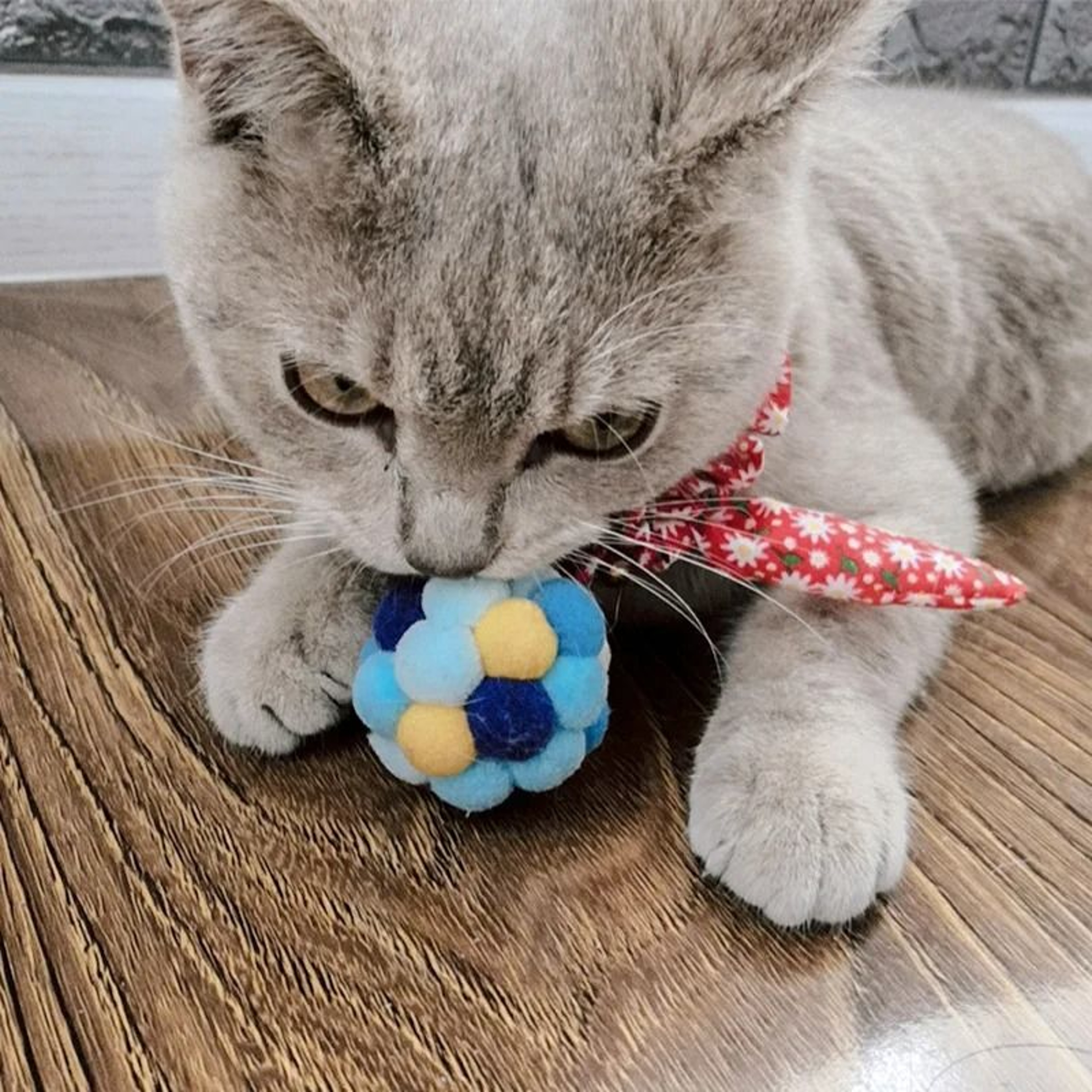 Interactive Plush Rainbow Bell Ball Pet Toy Set 3