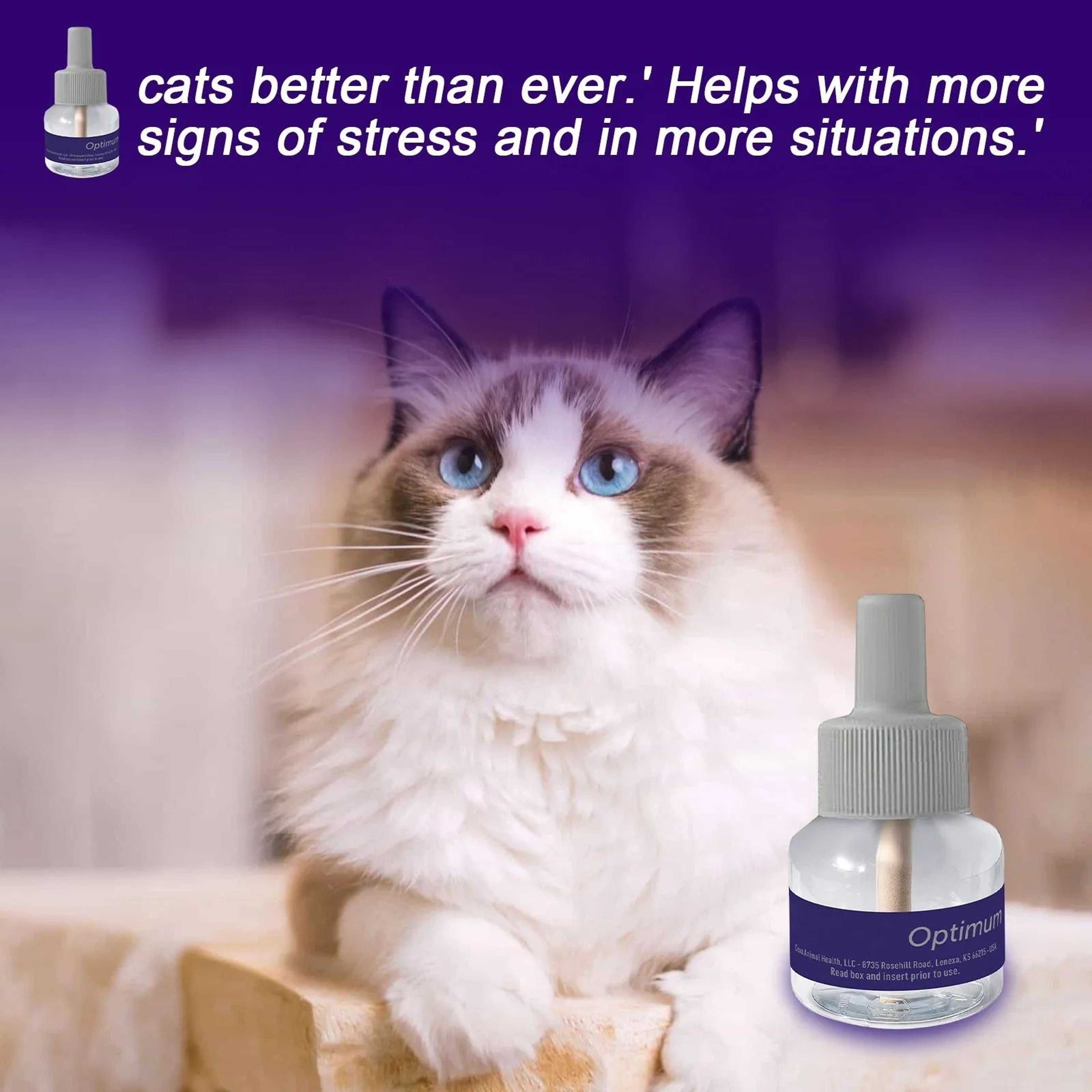 YHOPE Classic Calm For Cats 30Day Diffuser Refill 3Pack 1