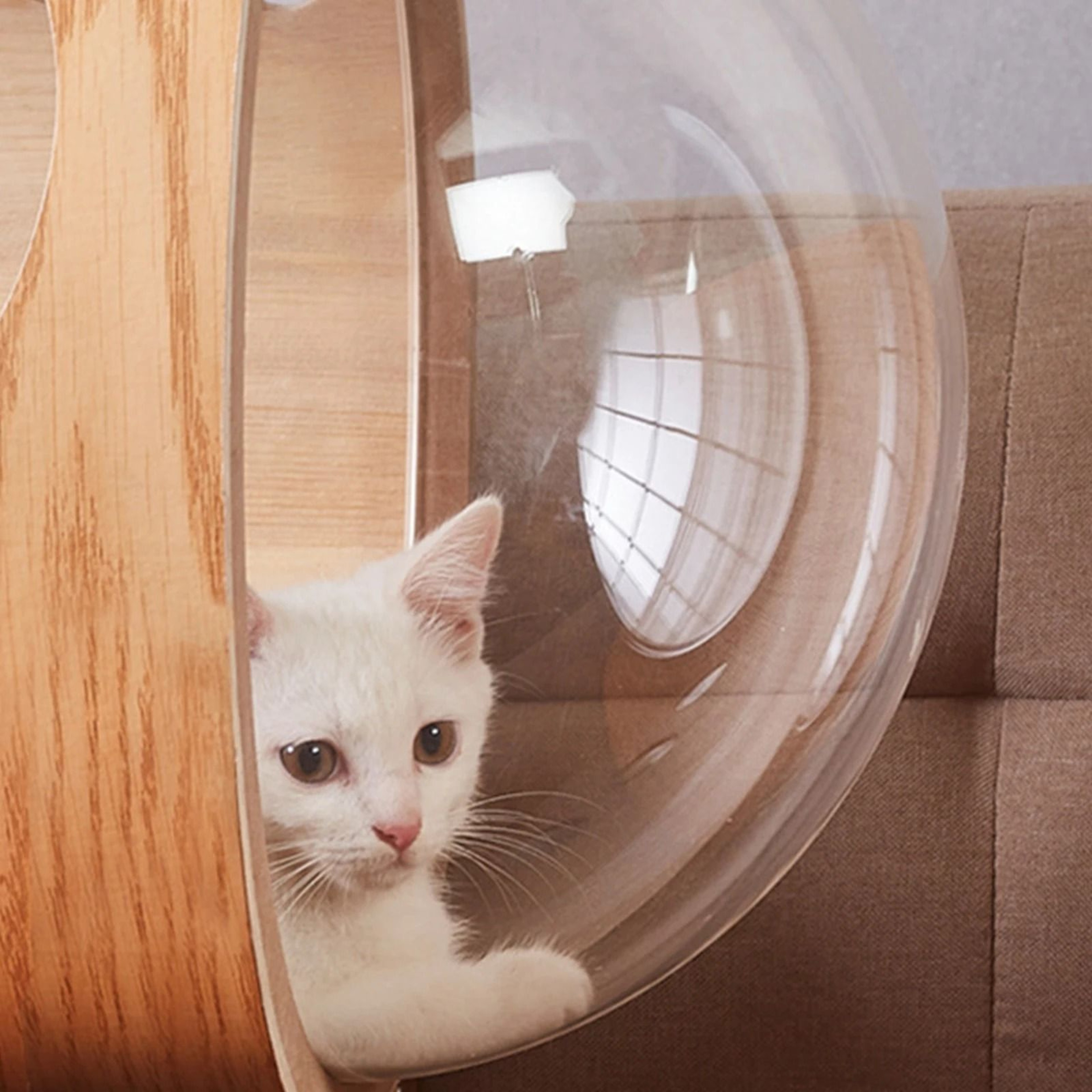 Space Clear Capsule Bed Indoor Dome Cover 1