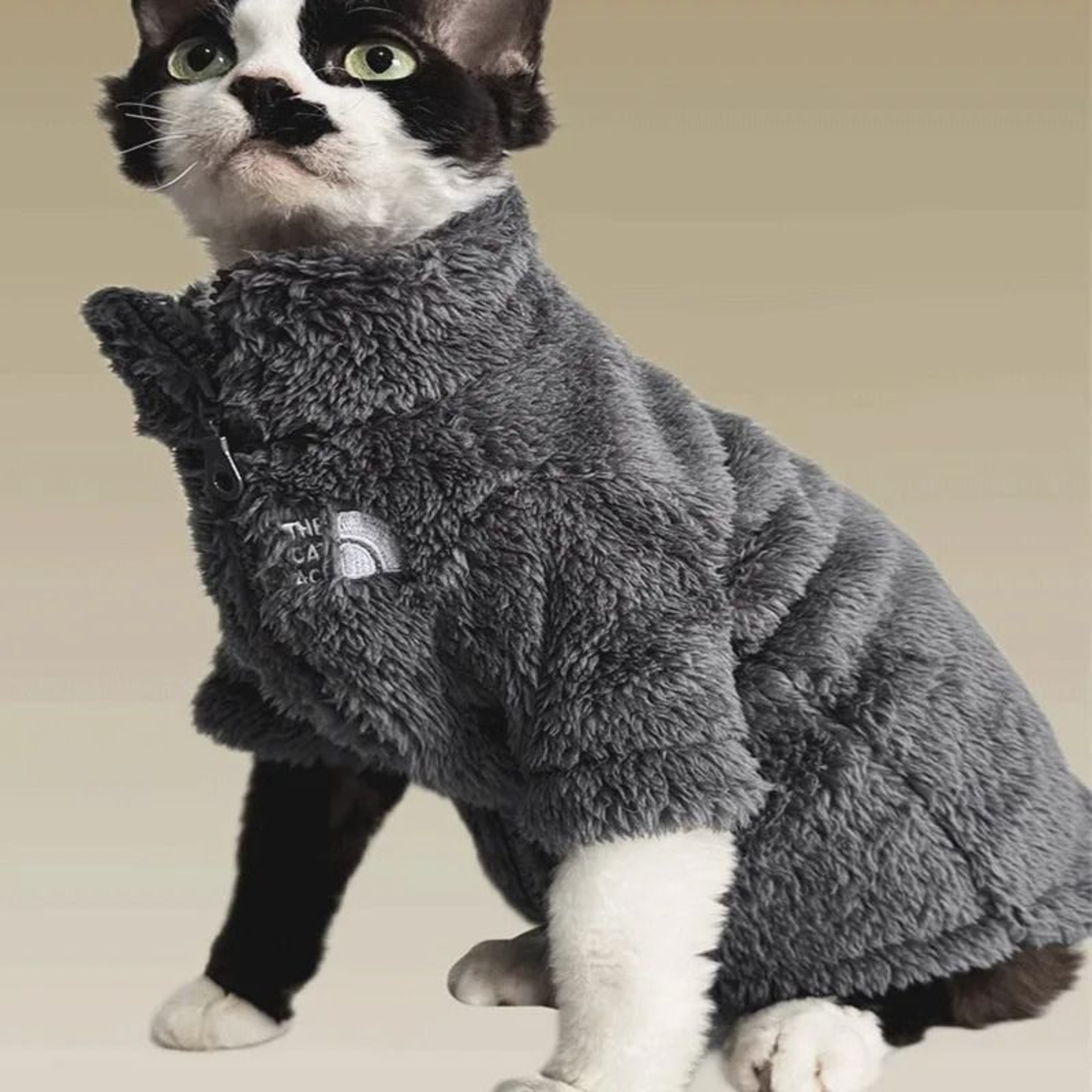 Thick Winter Warm Lambswool Coat For Hairless Cats And Small Dogs 7