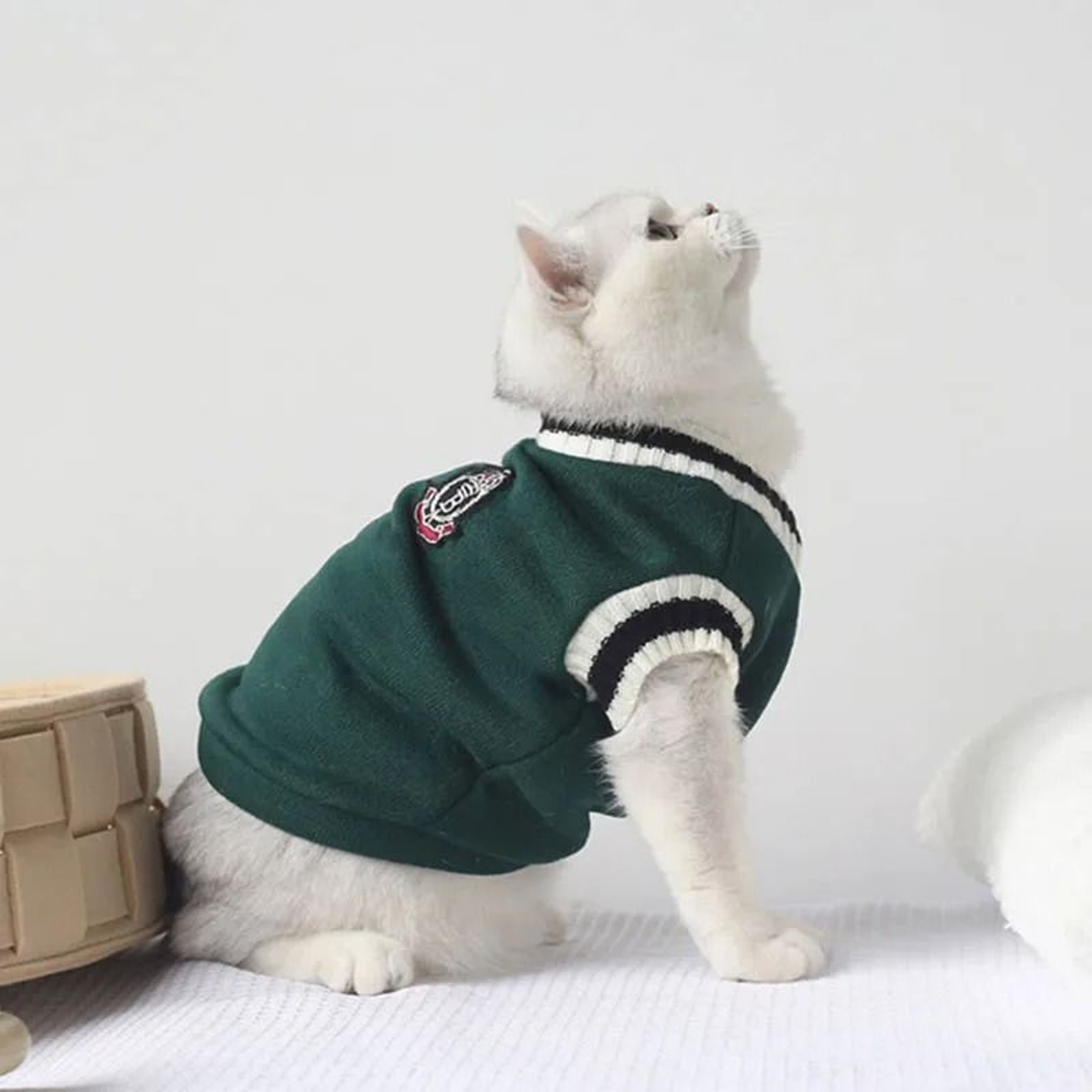 Winter Knit Pet Cozy Pullover Sweater Vest And Puppy Jacket 2