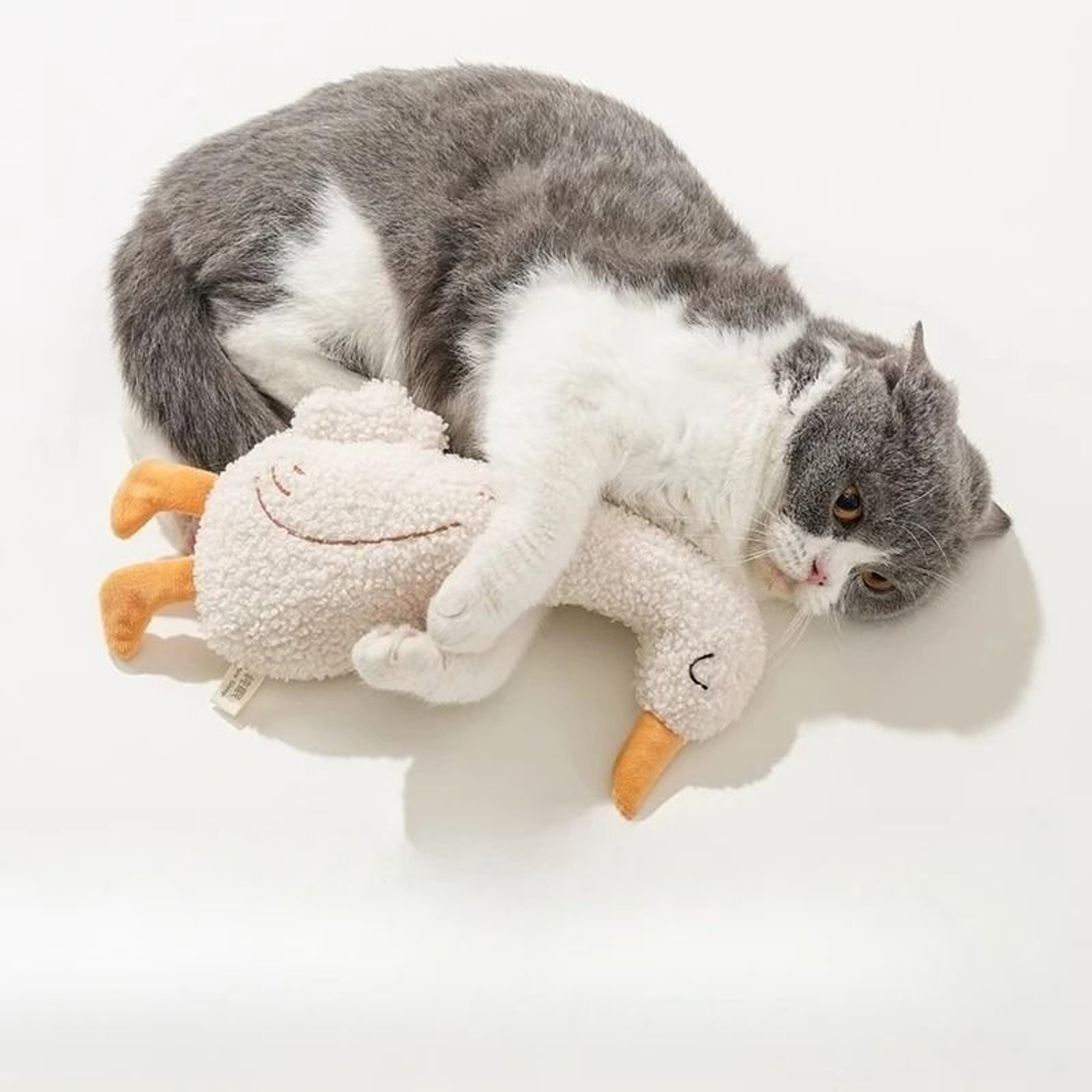 Interactive Plush Squeak And Chew Pet Toy 0
