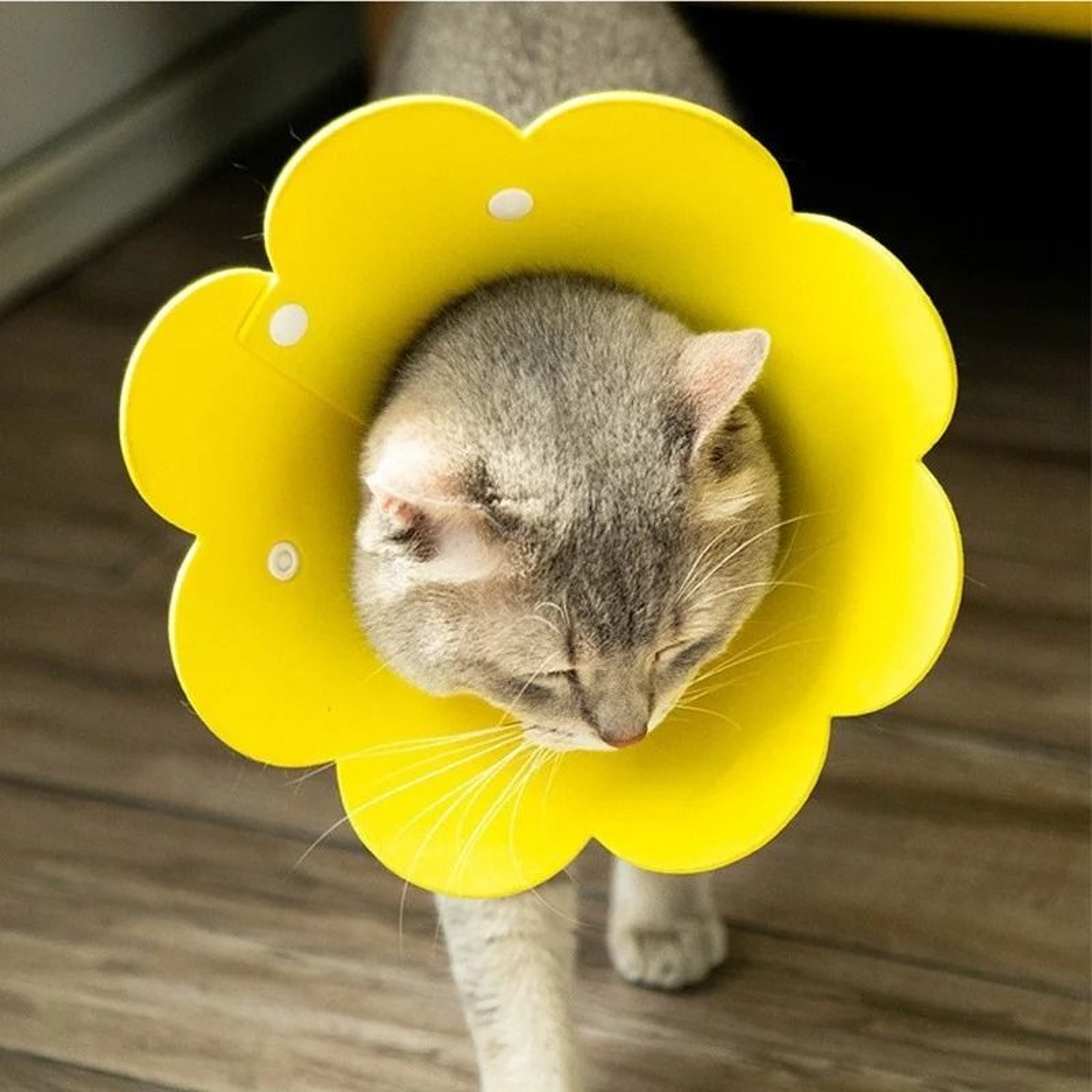 Cute FlowerShaped Adjustable Elizabethan Recovery Collar 1