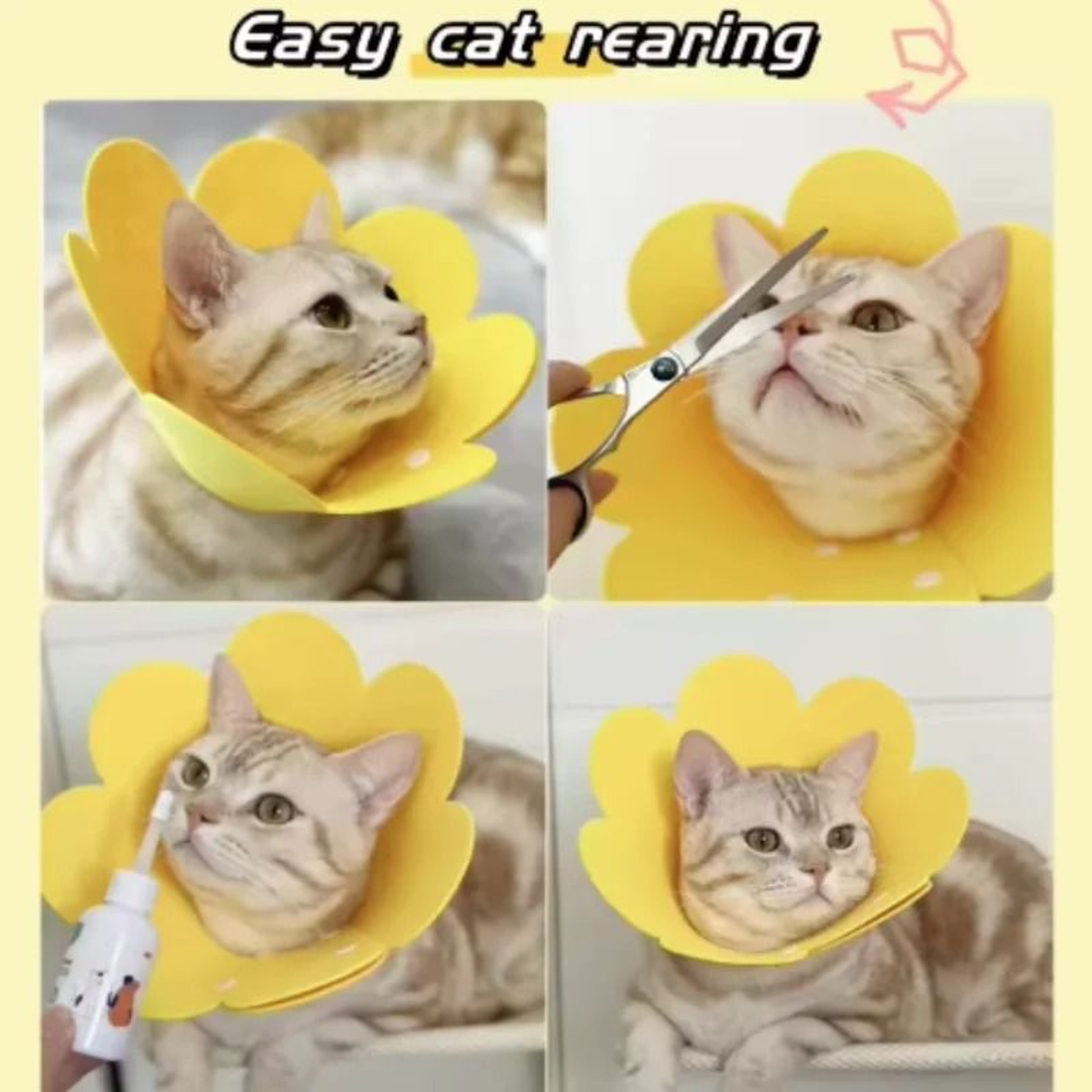 Cute FlowerShaped Adjustable Elizabethan Recovery Collar 5