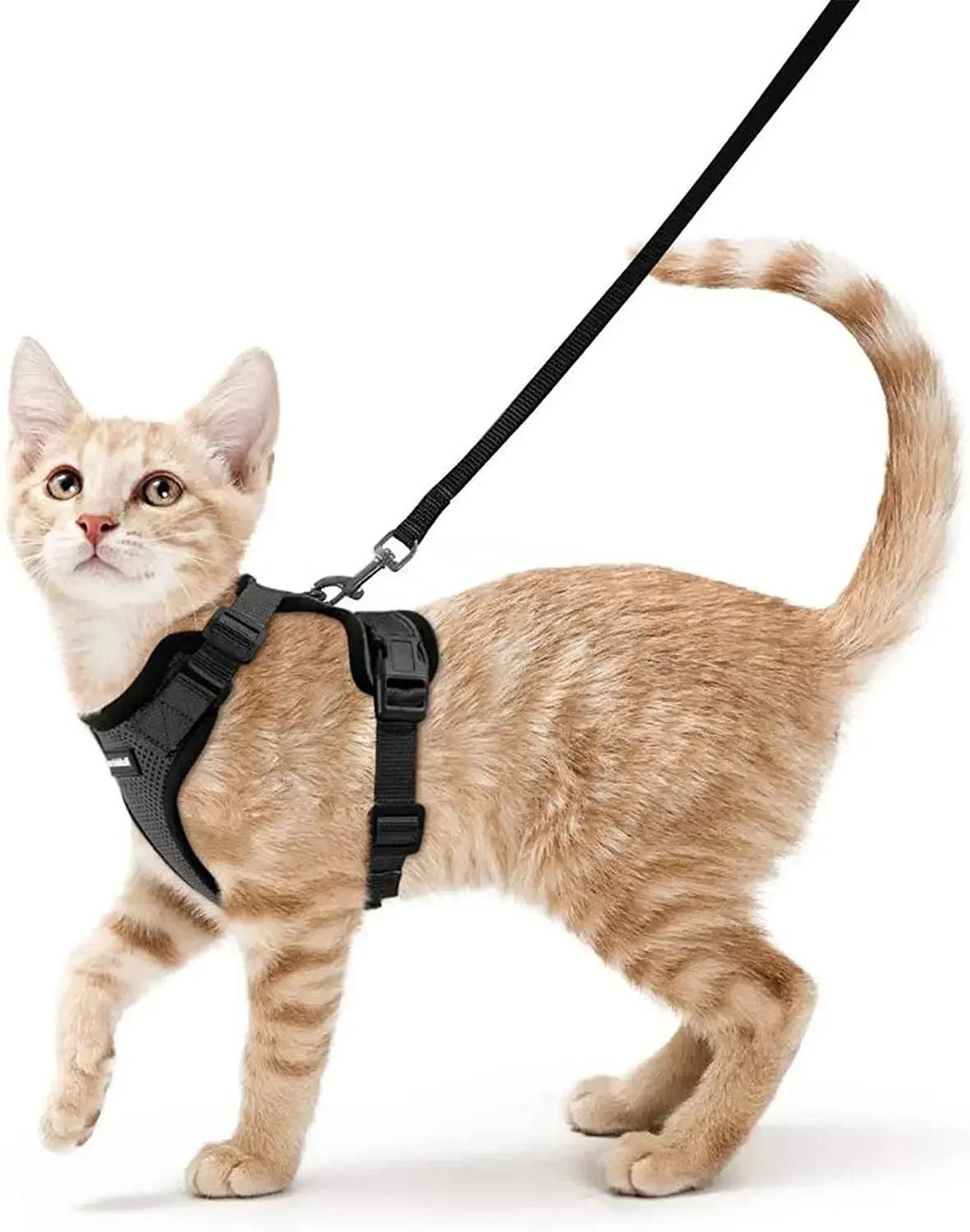 ATUBAN Escape Proof Cat Harness And Leash Set With Breathable Reflective Vest 9