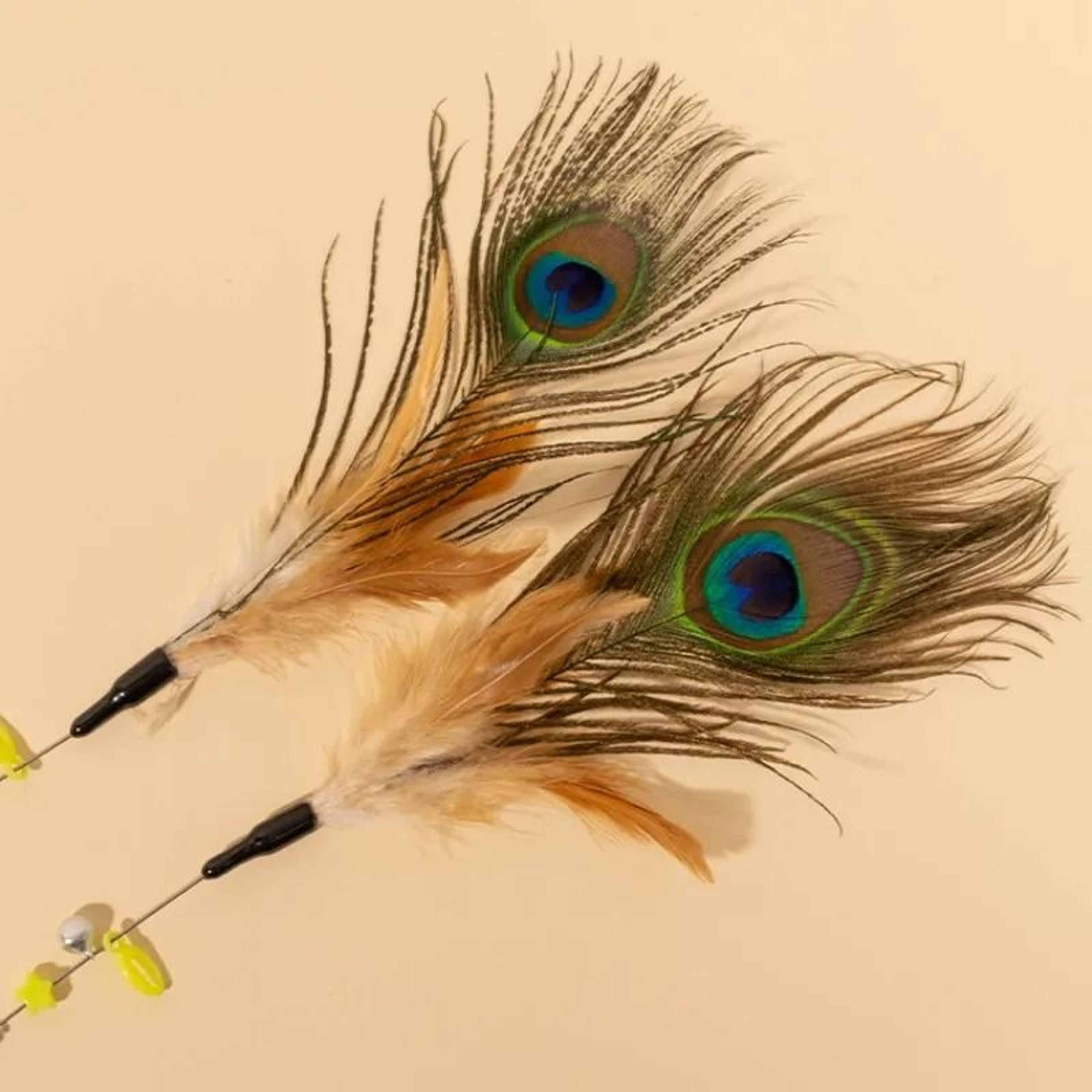 Product Name Interactive Peacock Feather Cat Teaser Stick With Resilient Spring Steel Wire Handle 2