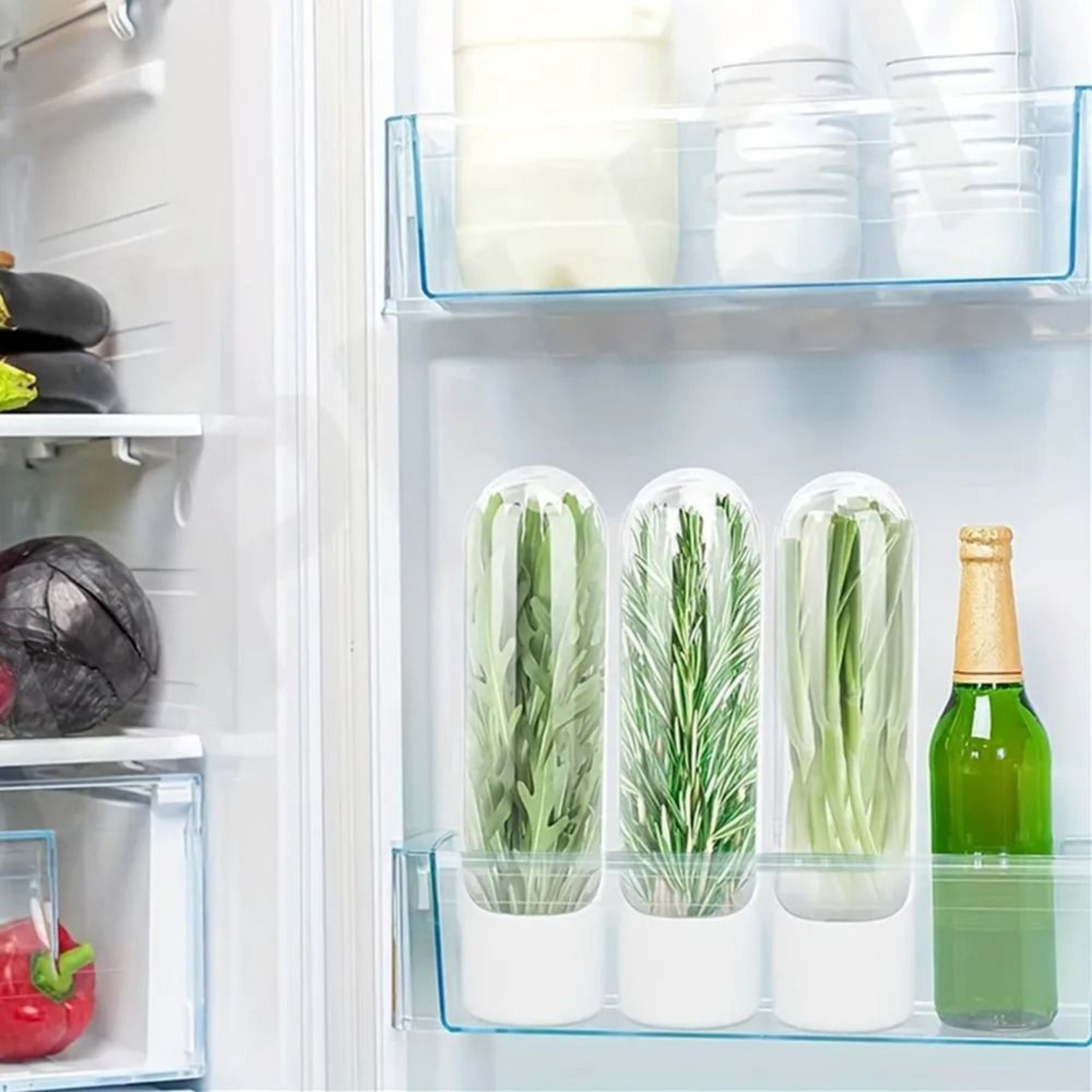 Premium Vegetable Herb Saver Preservation Bottle  Refrigerator FreshKeeping Storage Pod For Coriand 1