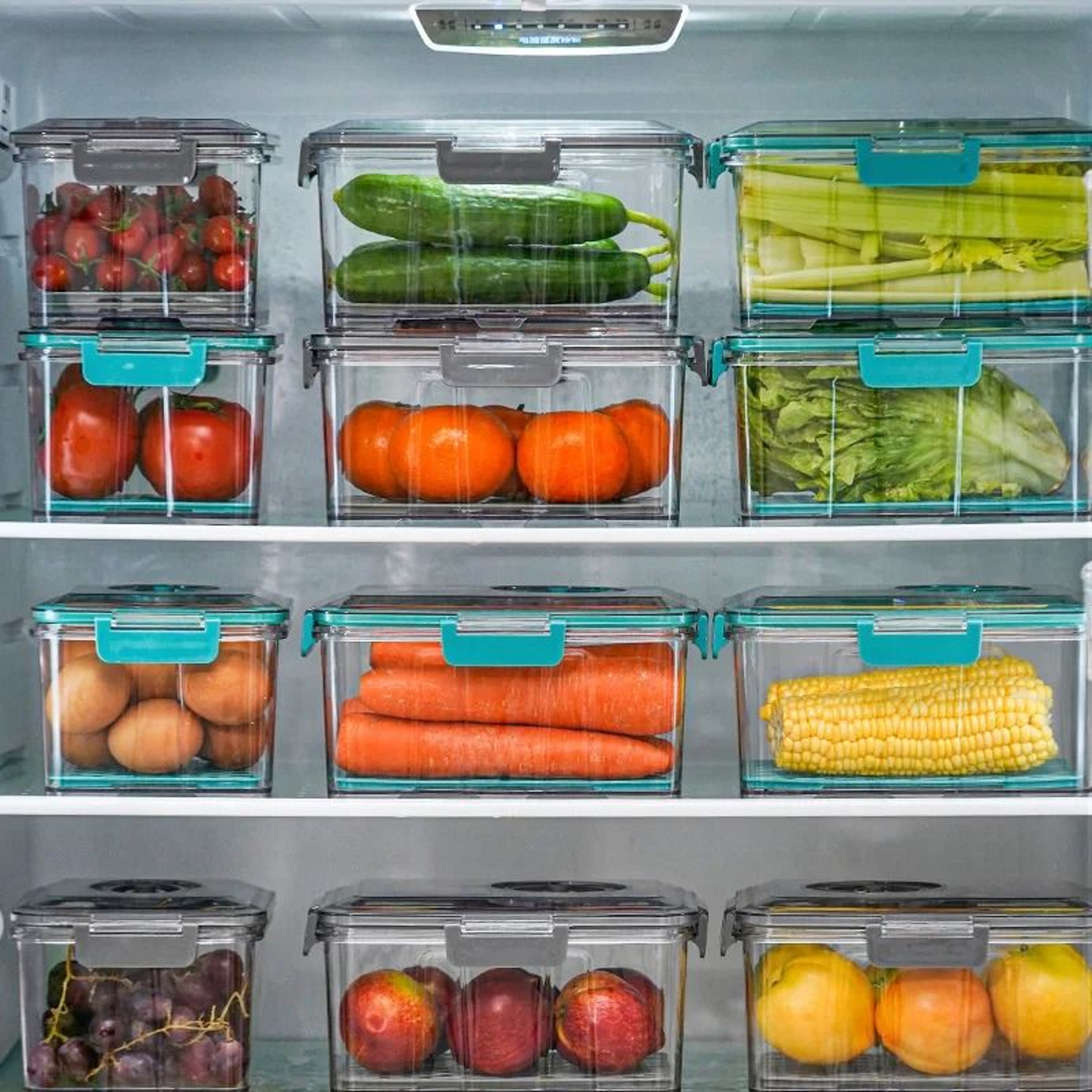 Vacuum Food Storage Container With Removable Drain Net 3