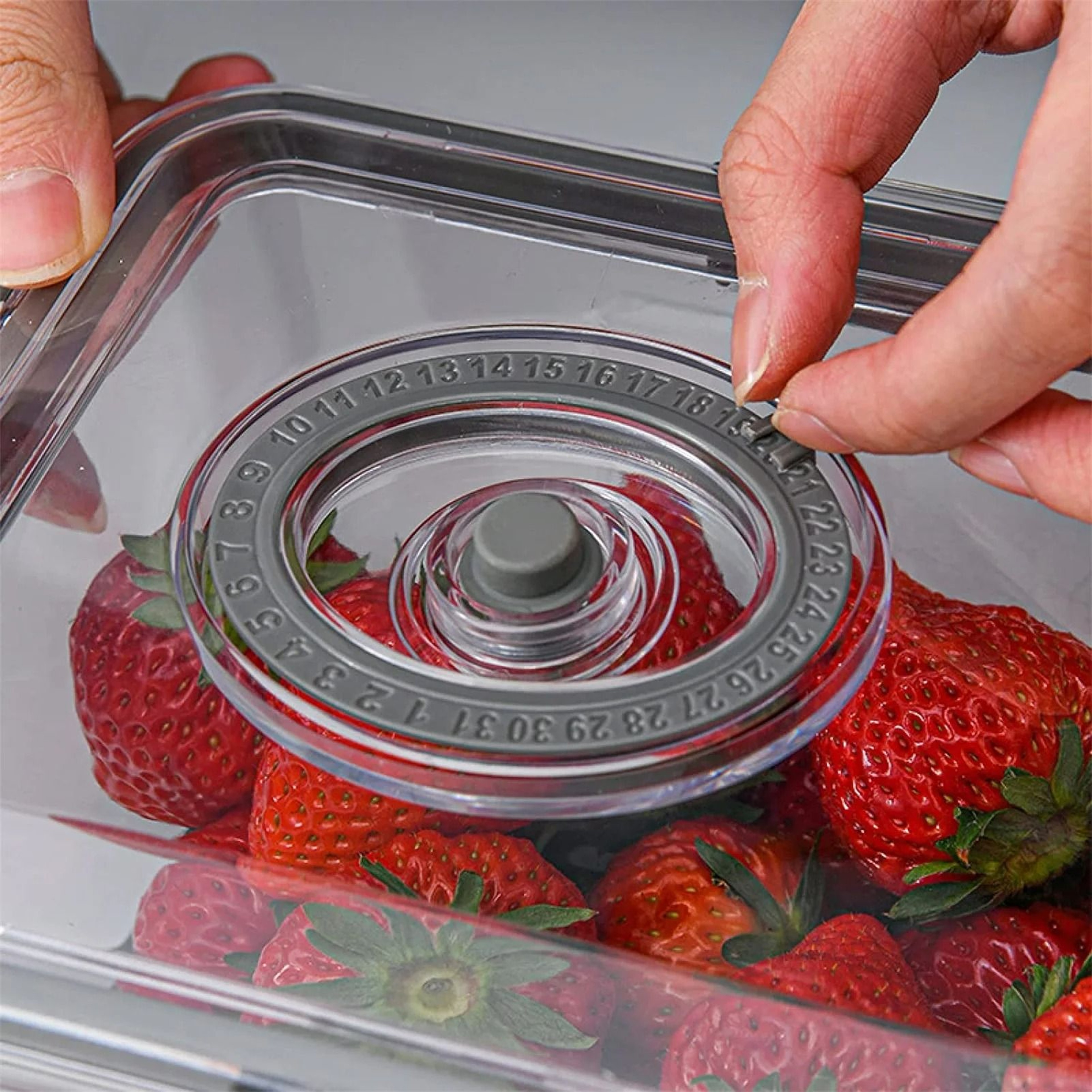 Vacuum Food Storage Container With Removable Drain Net 5
