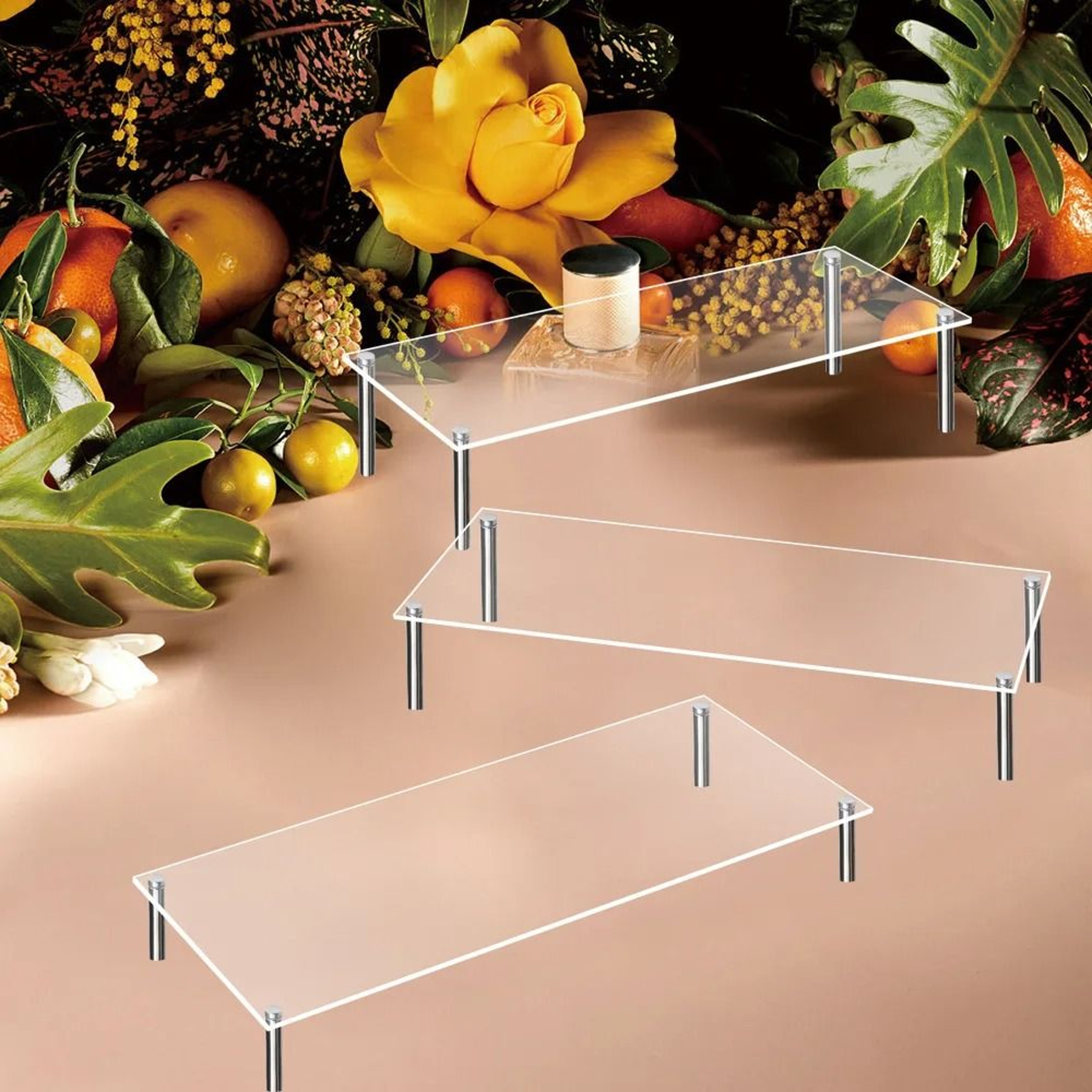 Clear Acrylic Display Riser With Stainless Steel Legs 4