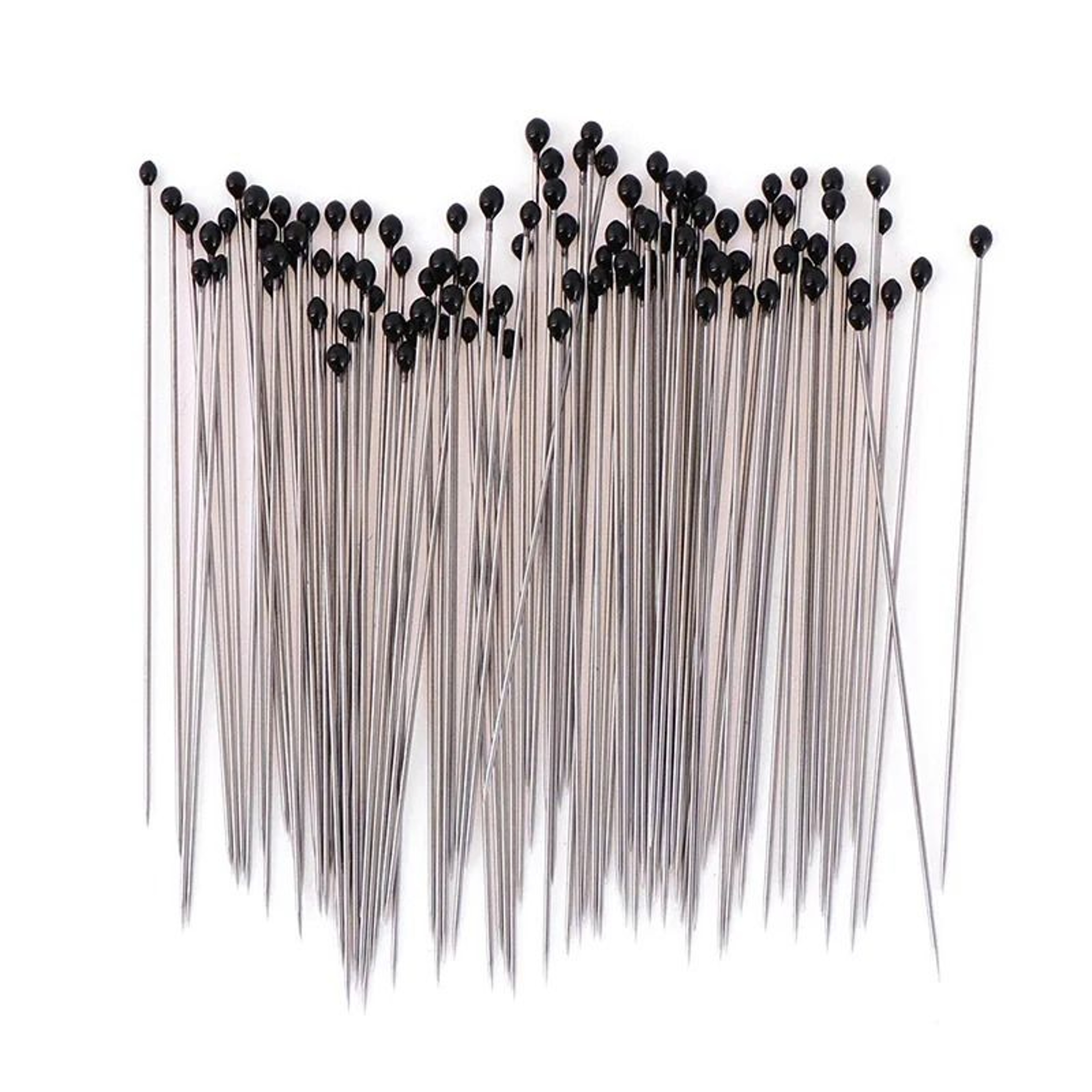100pcs Insect Pins Specimen Needle Stainless Steel With Plastic Box 0
