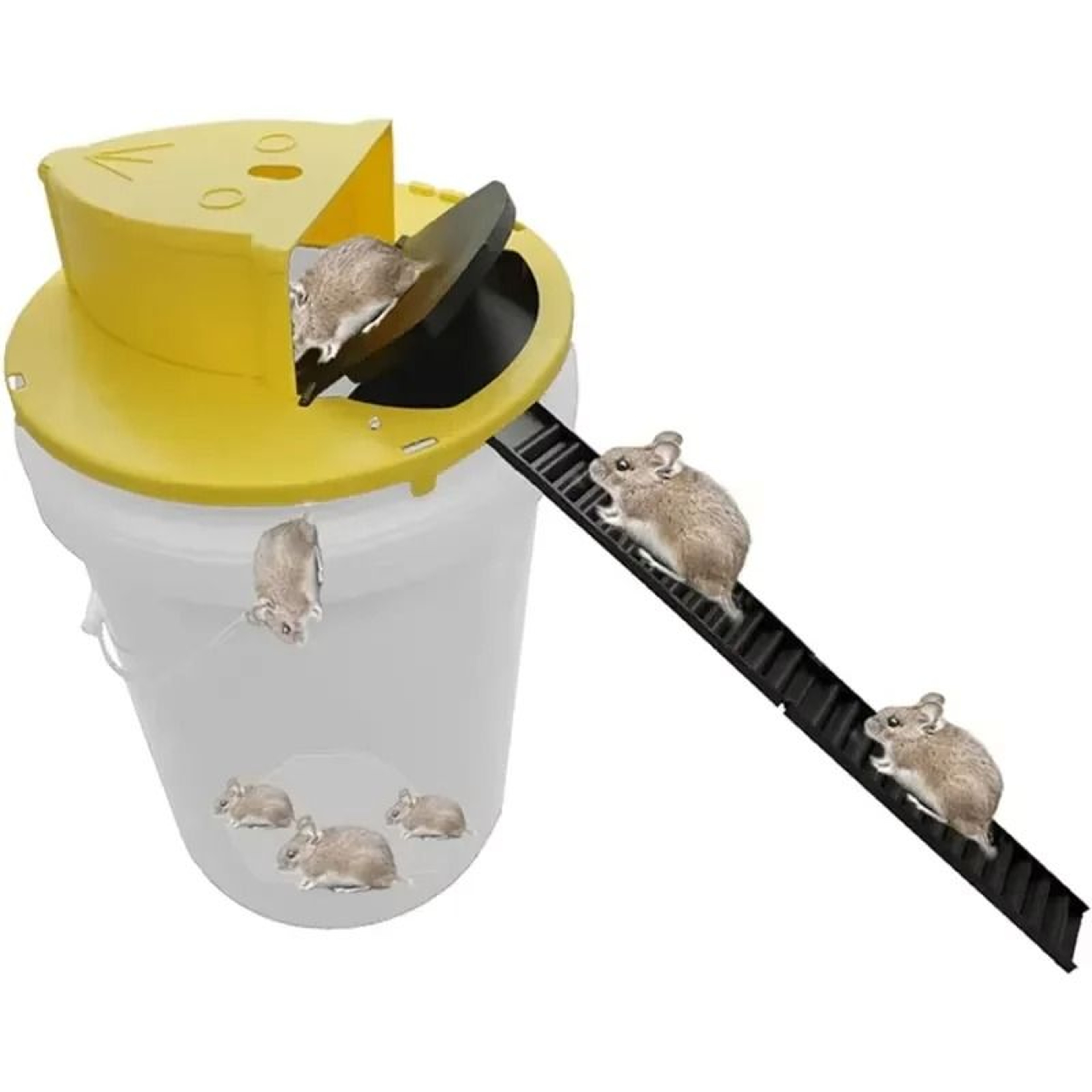 Intelligent Pitfall Mouse Catcher Trap Bucket Flipping Lid Automatic Reset 0