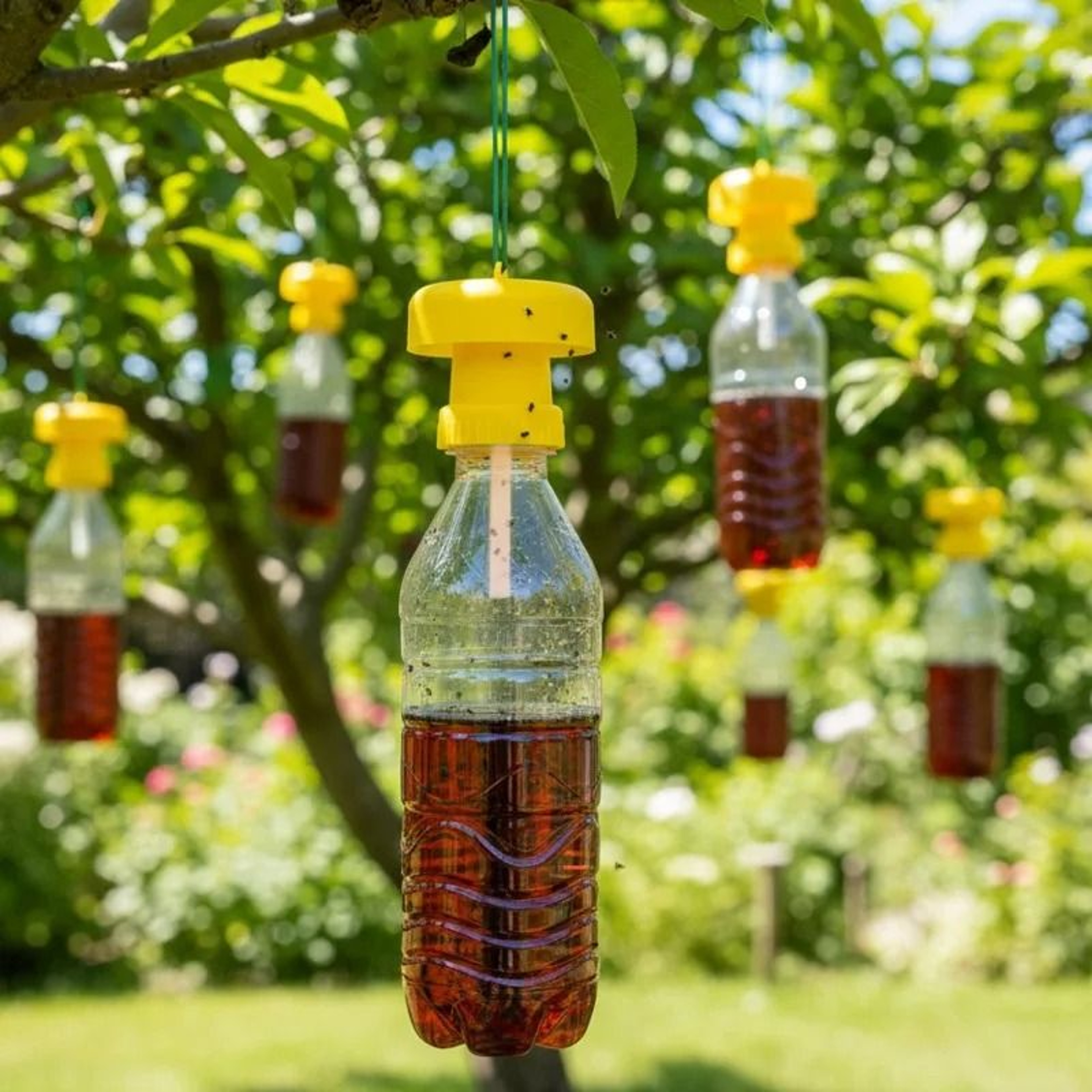51 Pcs Yellow Fruit Fly Trap Catcher Home Farm Orchard Fly Bee Attractant 4