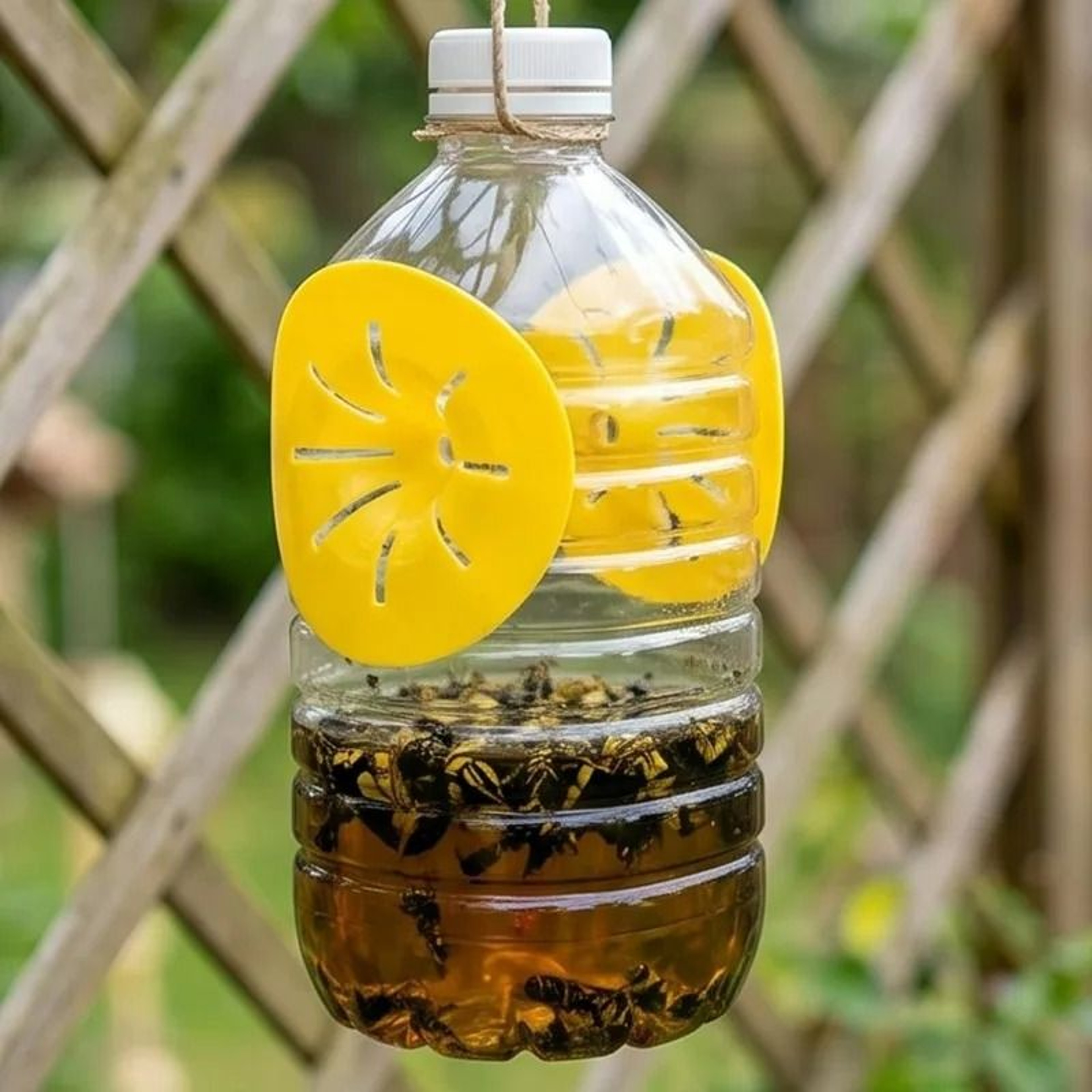 Reusable Cone Funnel Wasp Trap Insert Bottle Hornet Flying Insect Catcher 1