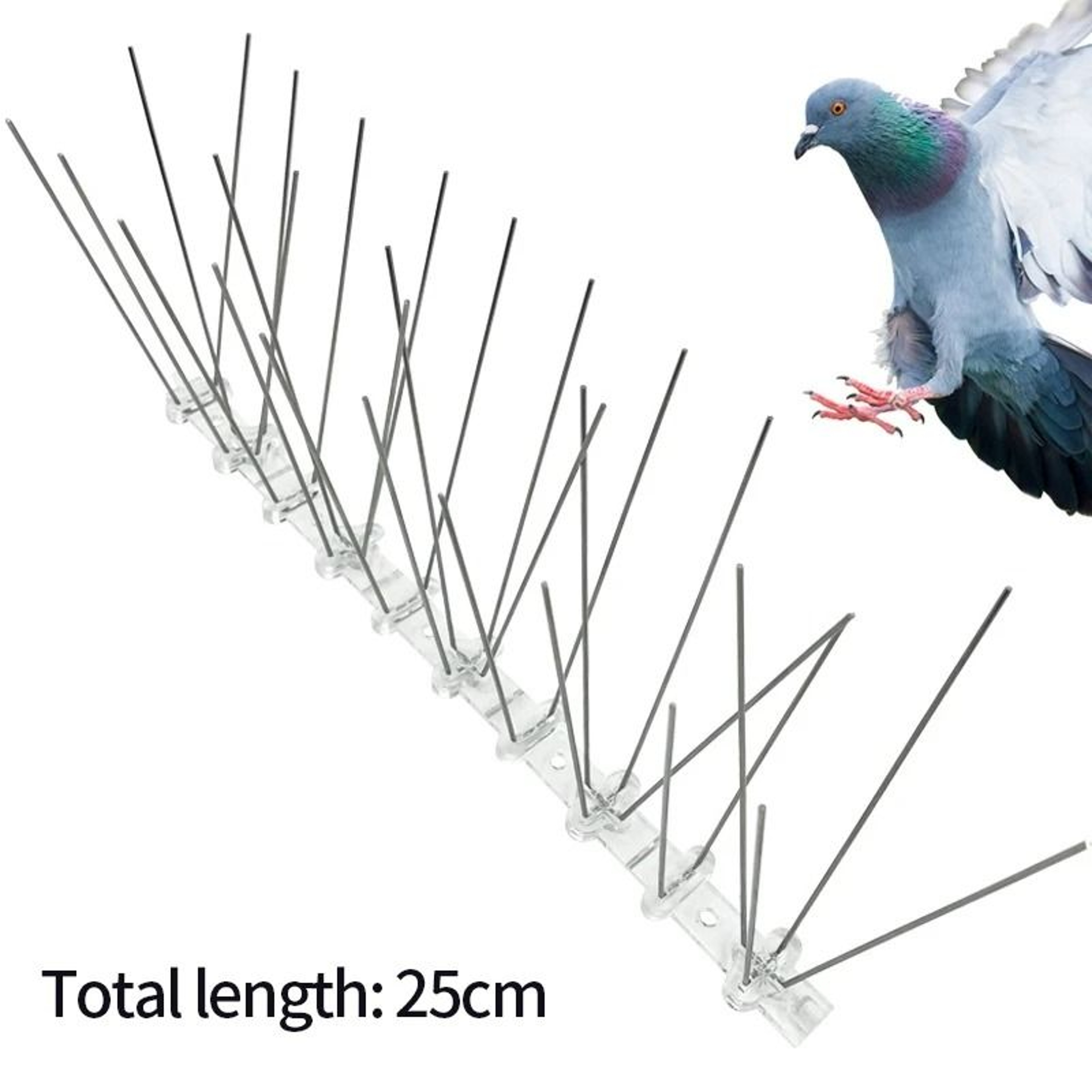 Stainless Steel AntiBird Spikes Repeller Deterrent Pigeon Control Nails 5