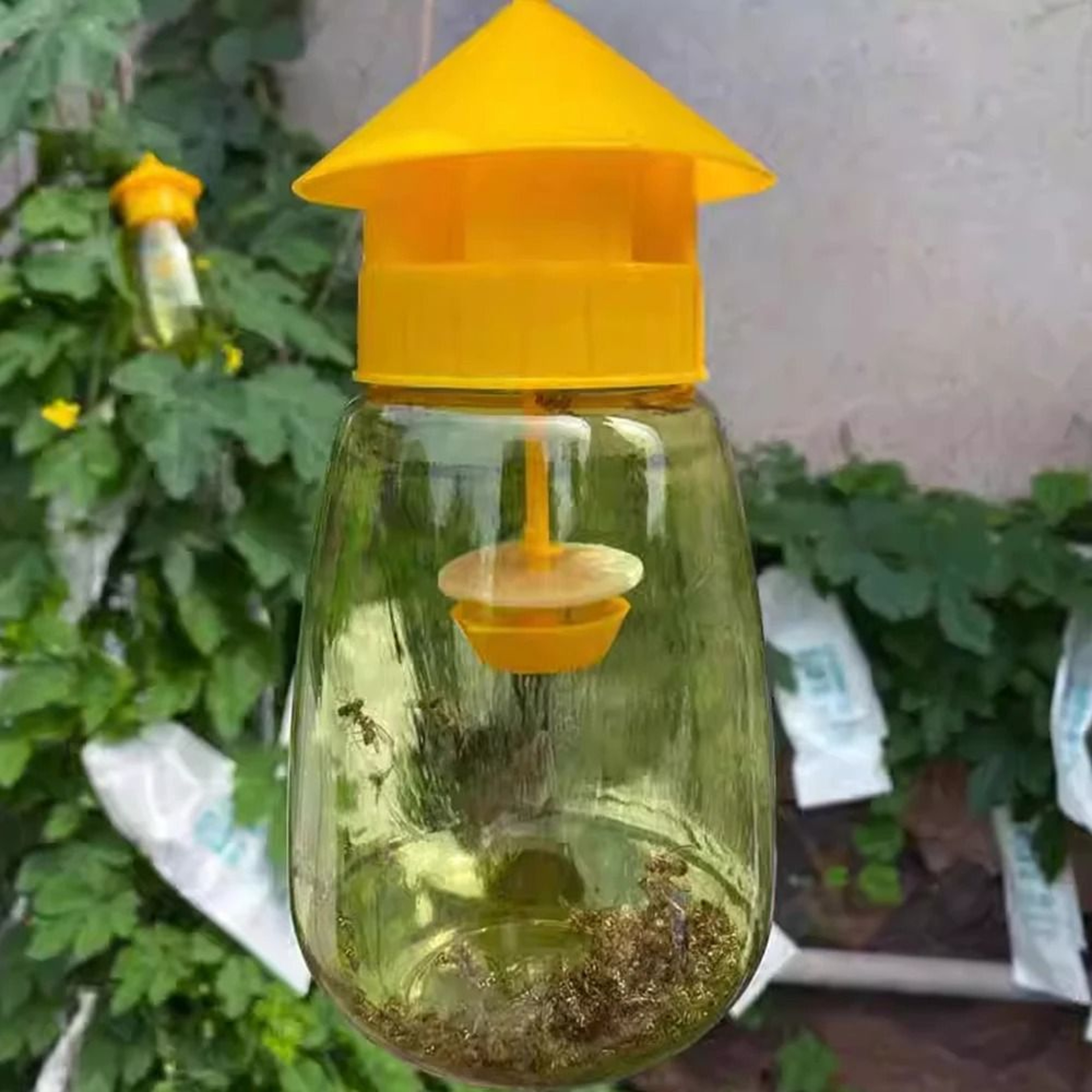Yellow Plastic Fruit Fly Trap Drosophila Catcher Outdoor Orchard Pest Control 0