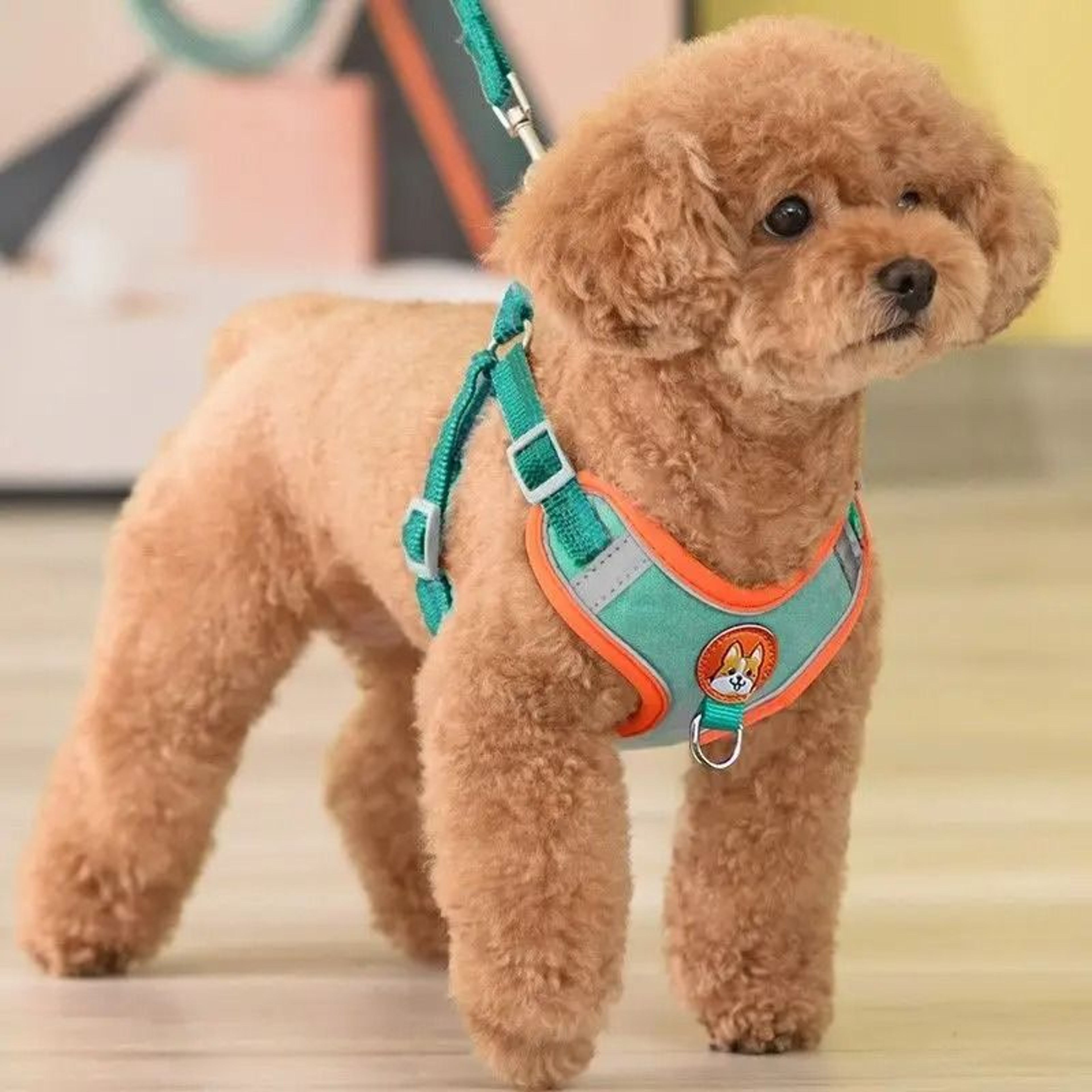 Adjustable No Pull Dog Harness Reflective Pet Walking Running Vest Leash Set 0
