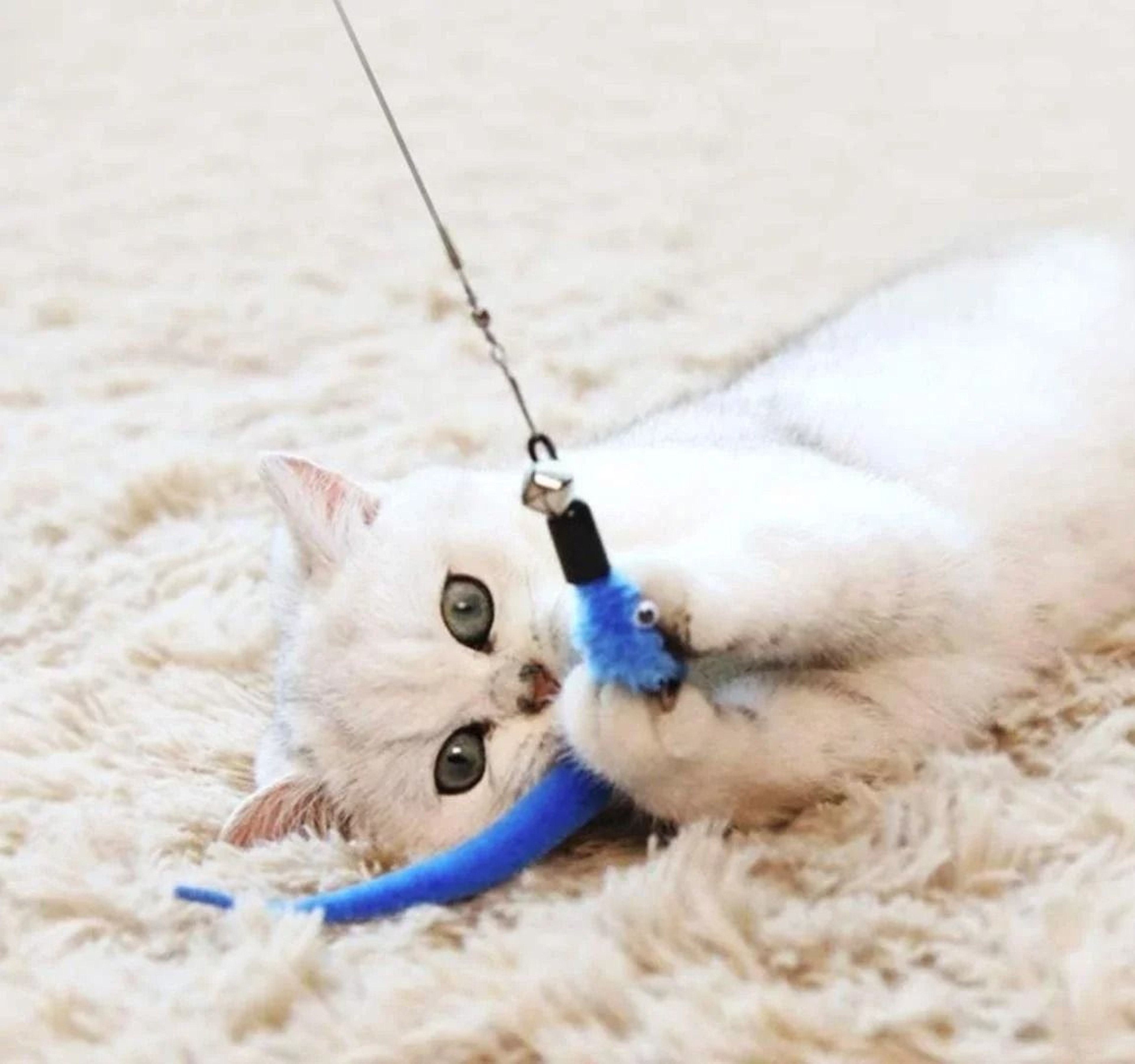 11Pcs Retractable Cat Wand Toy Set Interactive Feather Teaser Refills 4