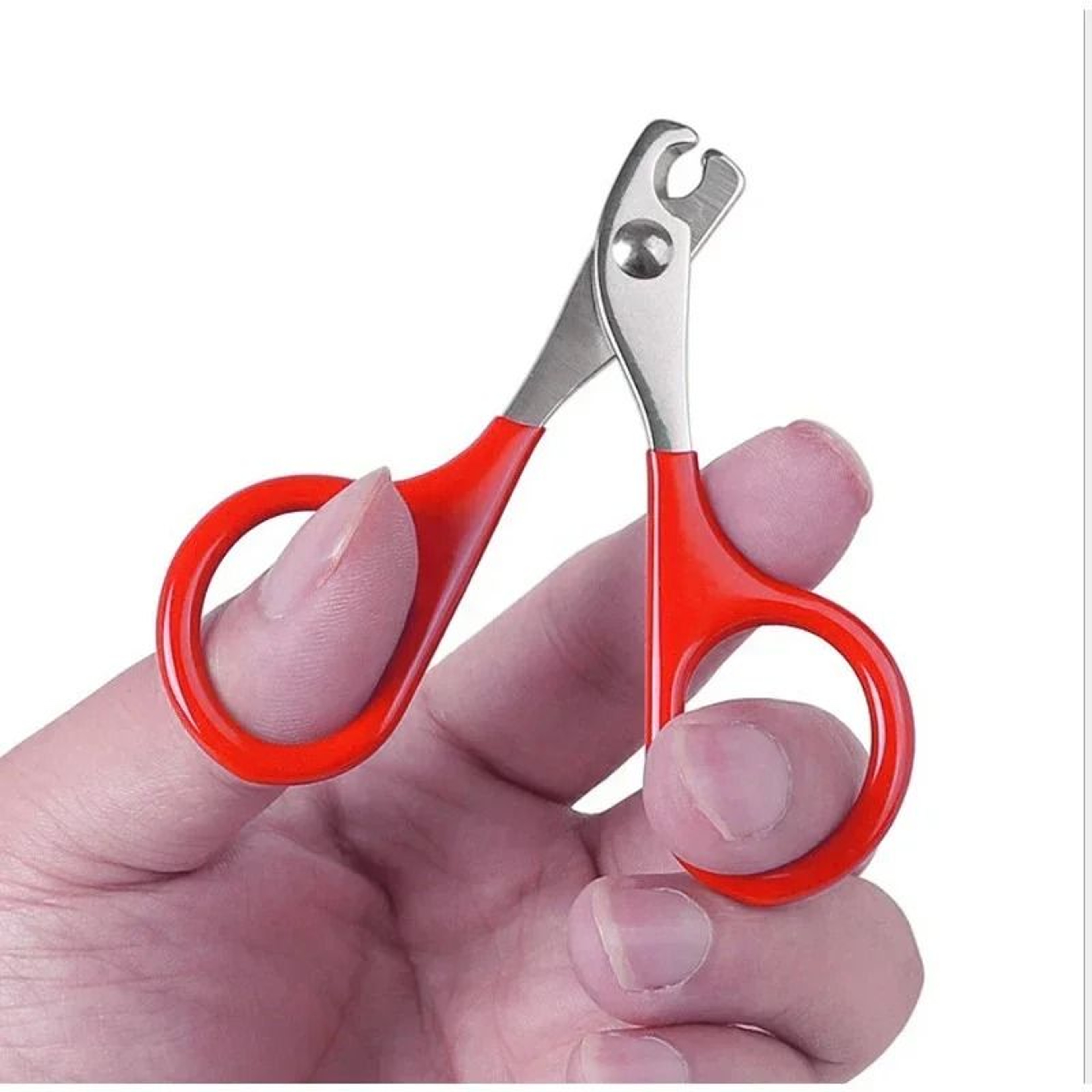 Professional Pet Nail Clippers  Scissors Trimmer For Small Dogs Cats  Puppies 10