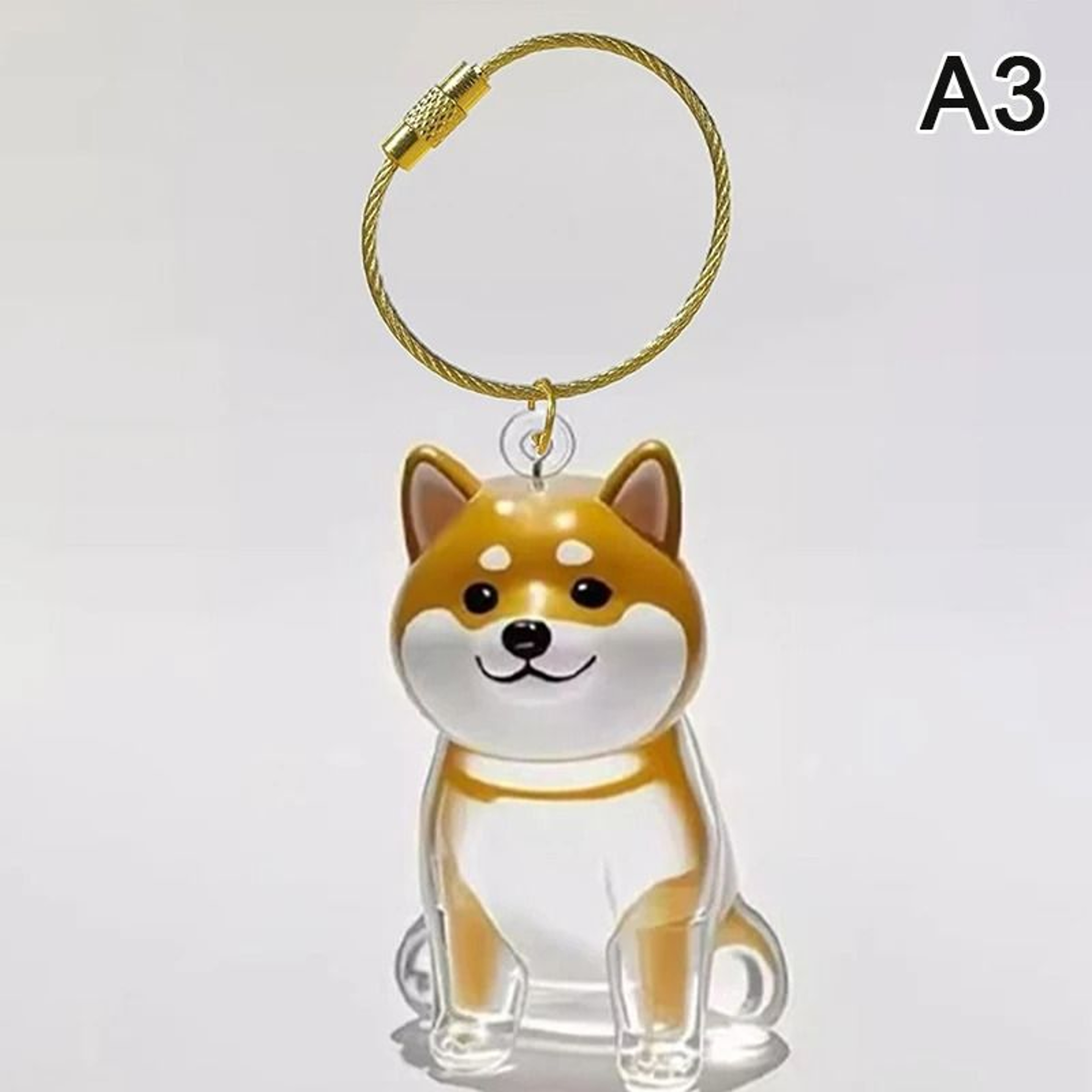 Dog Hair Storage Keychain Bottle  Pet Fur Memorial Capsule 9