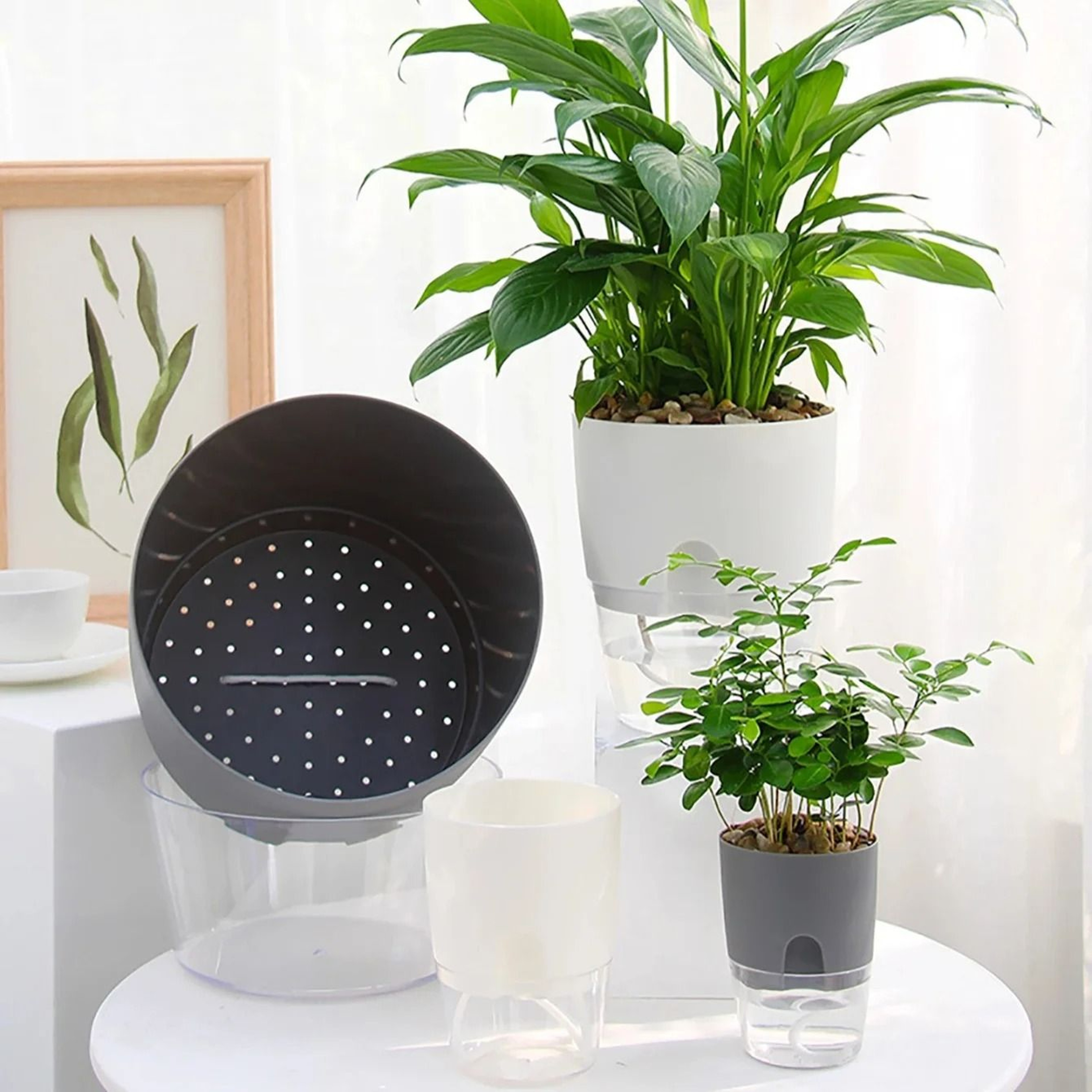 5Piece SelfWatering Planters Set With Wicking Flower Pots  Watering Bottle 1