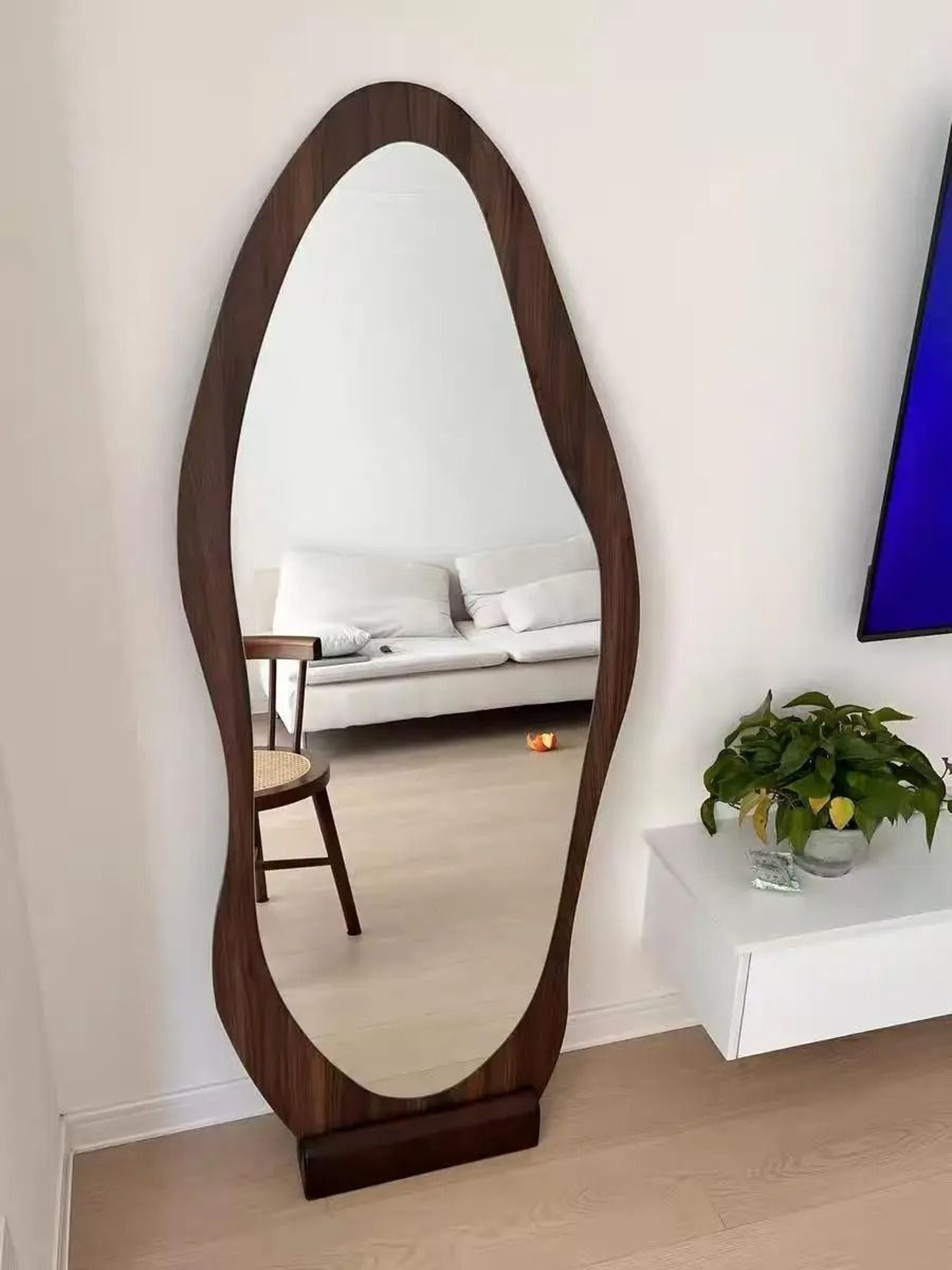 Full Body SpecialShaped Floor  Wall Mounted Dressing Mirror 0