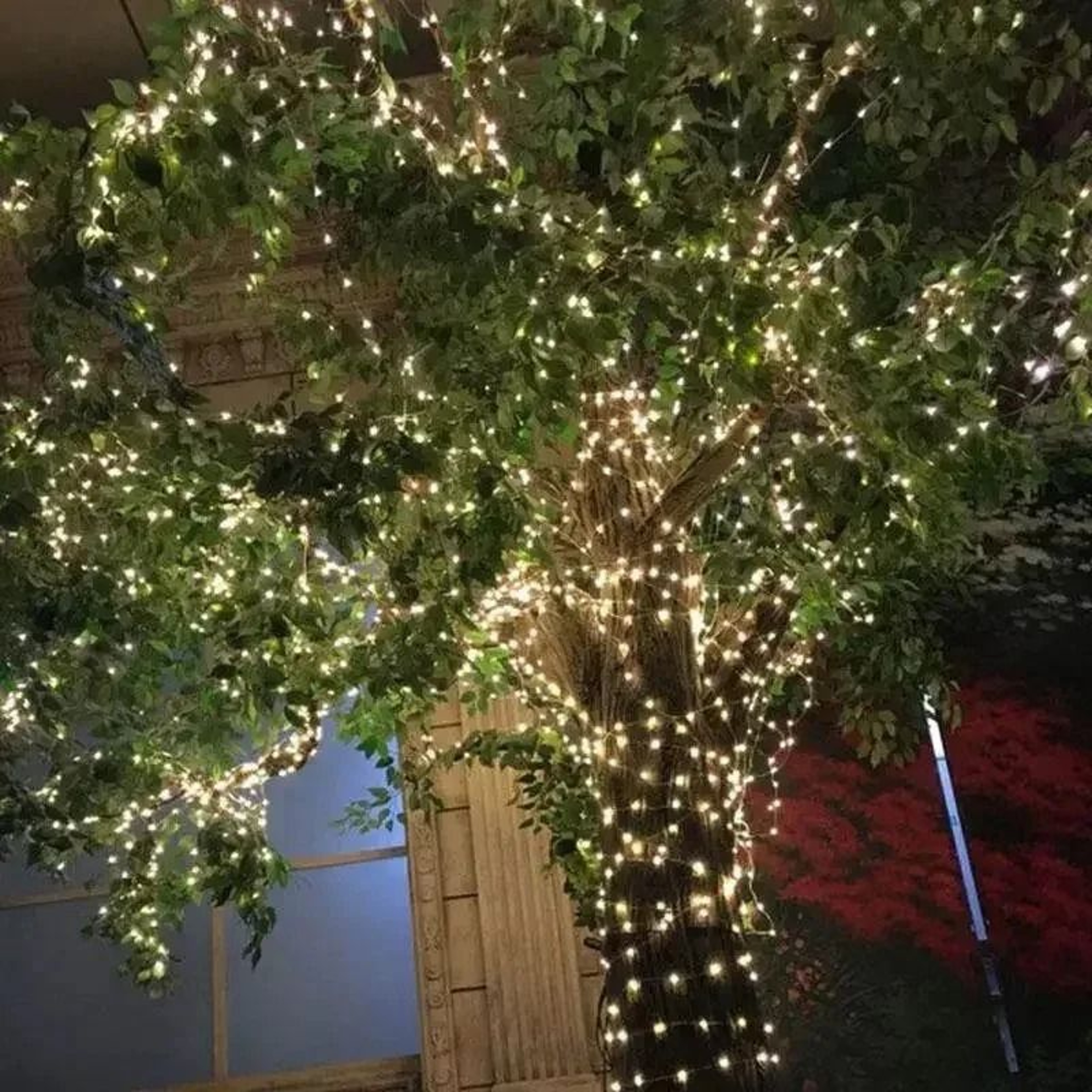 Solar Outdoor Copper Wire LED String Lights Warm Light Fairy Light Garland For Garden Trees Patio   4