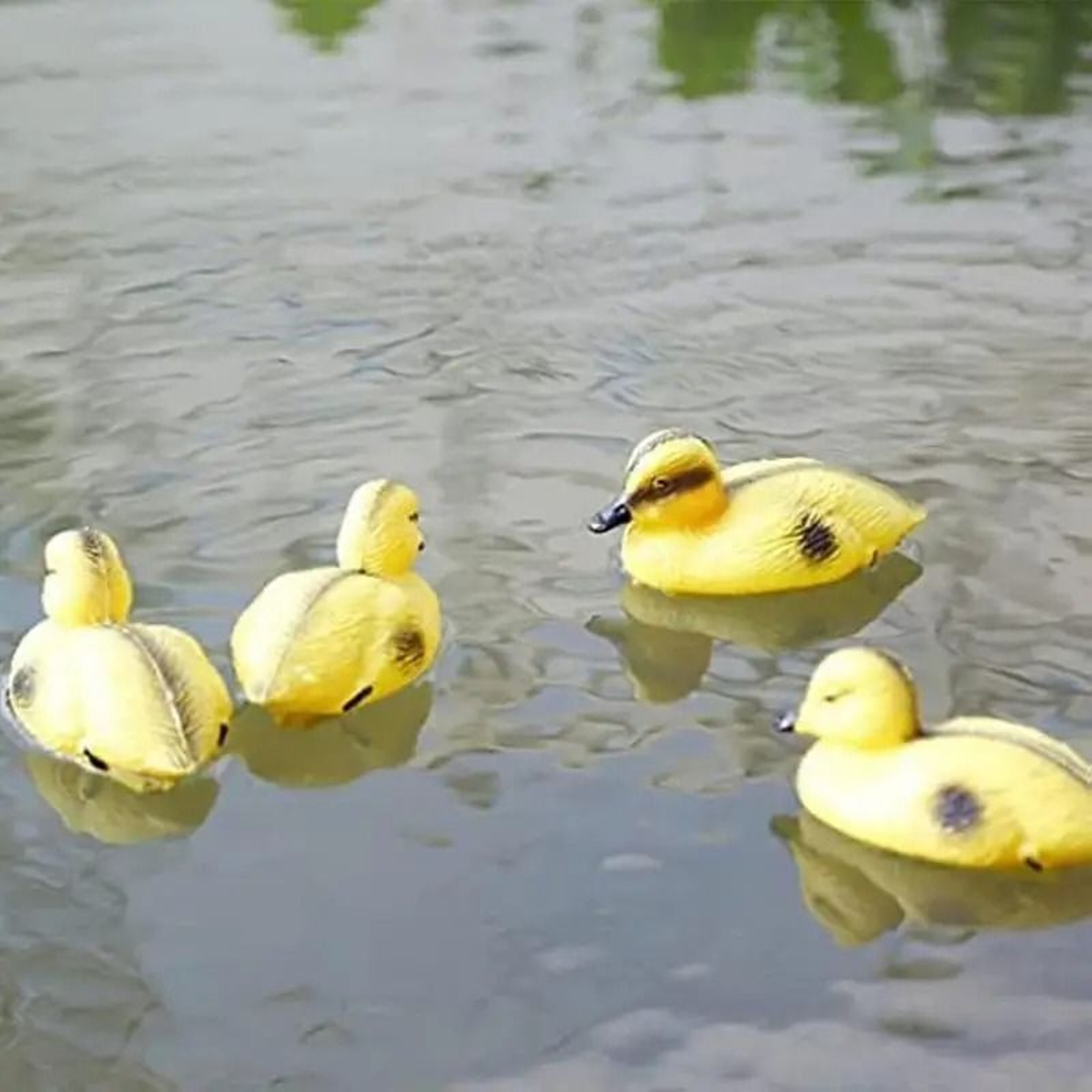 5pcs Floating Duckling Decoys PE Pond Ornaments High Simulation Water  Garden Yard Lawn Decor 2
