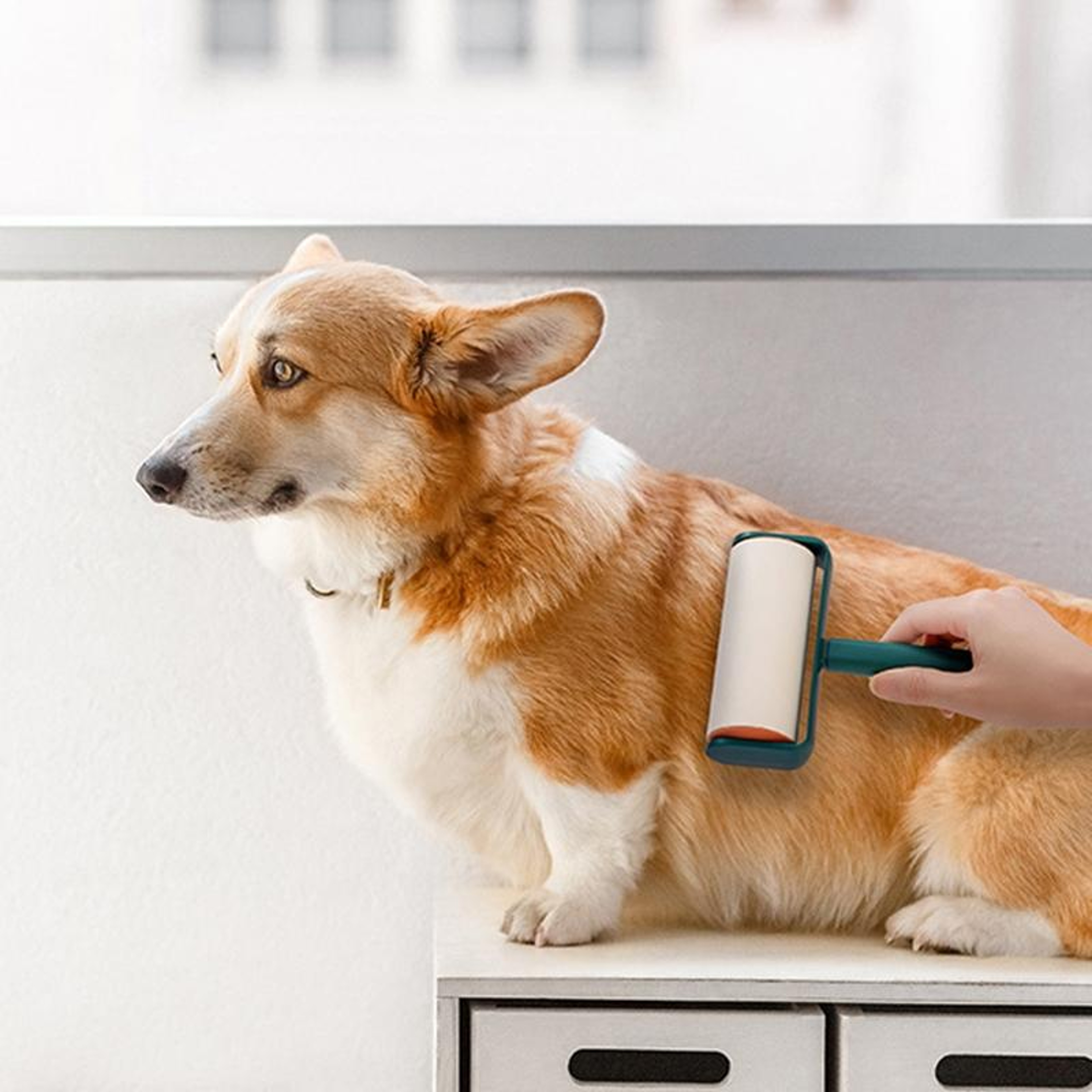 Portable Pet Hair Remover Roller for Clothes and Furniture Sticky Lint Cleaner Device – view 8