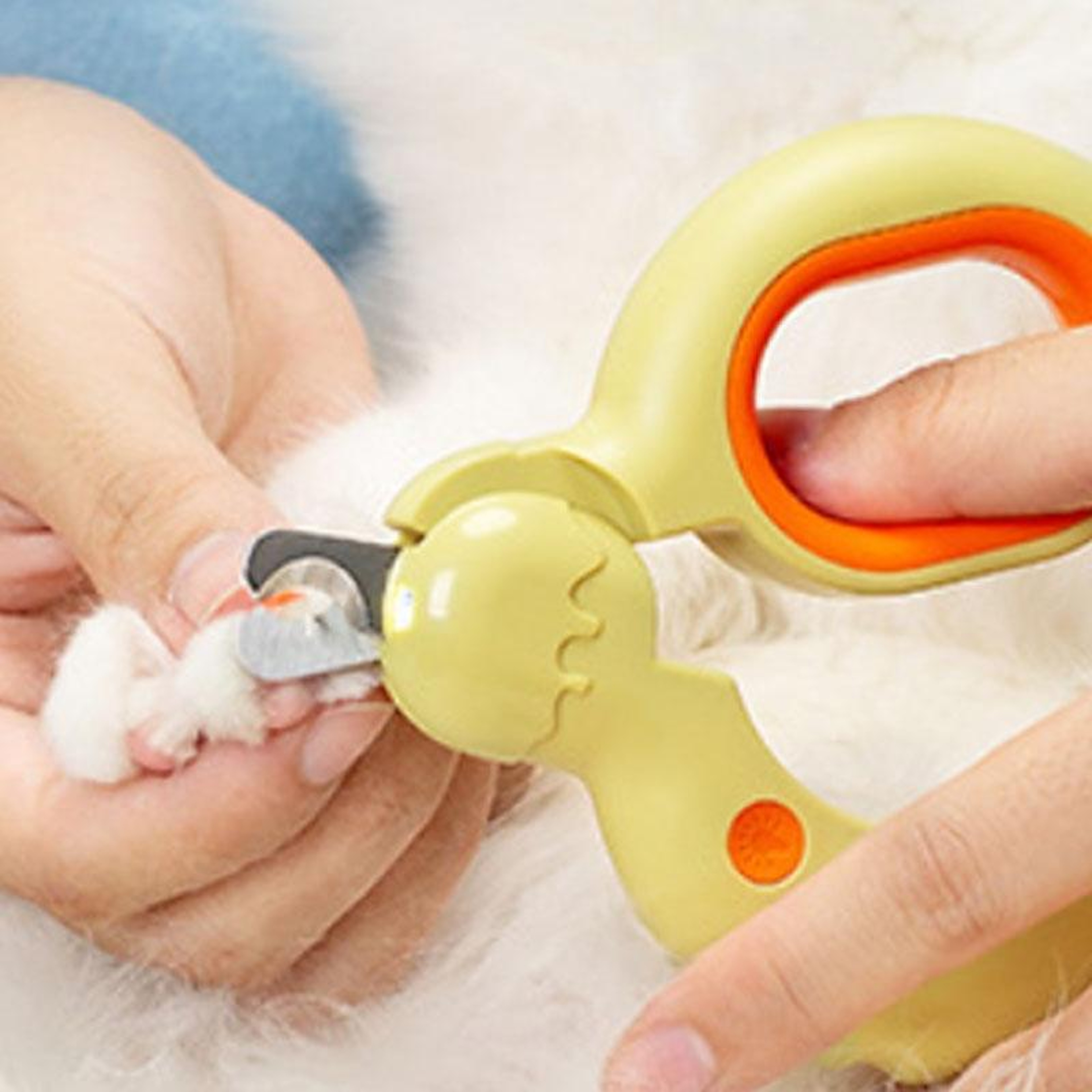 LED Dog  Cat Nail Clipper With Safety Light Stainless Steel Pet Nail Trimmer 3