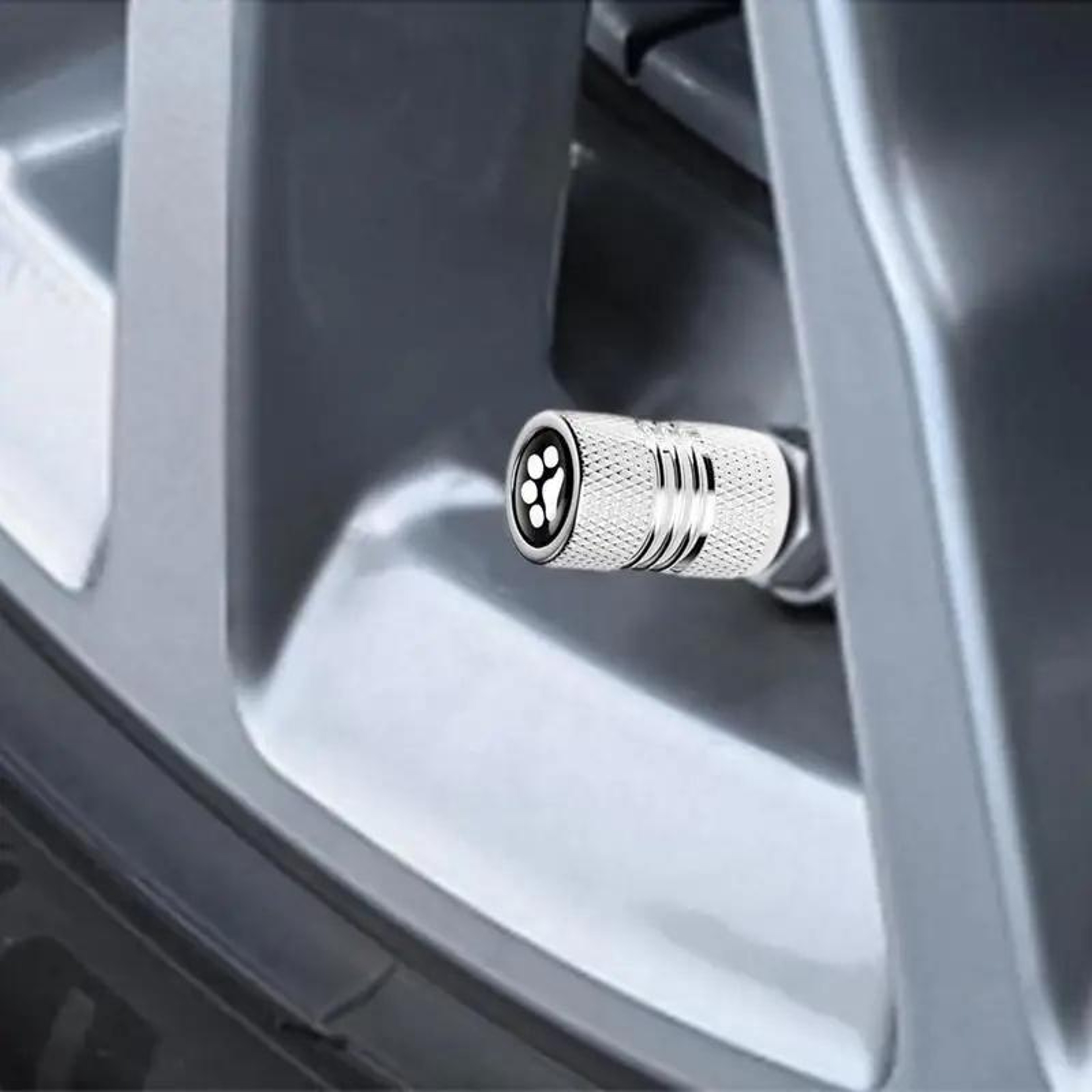 Bear Claw Metal Tire Valve Caps Set Durable Car Tire Valve Covers Anti Theft Protection – view 6