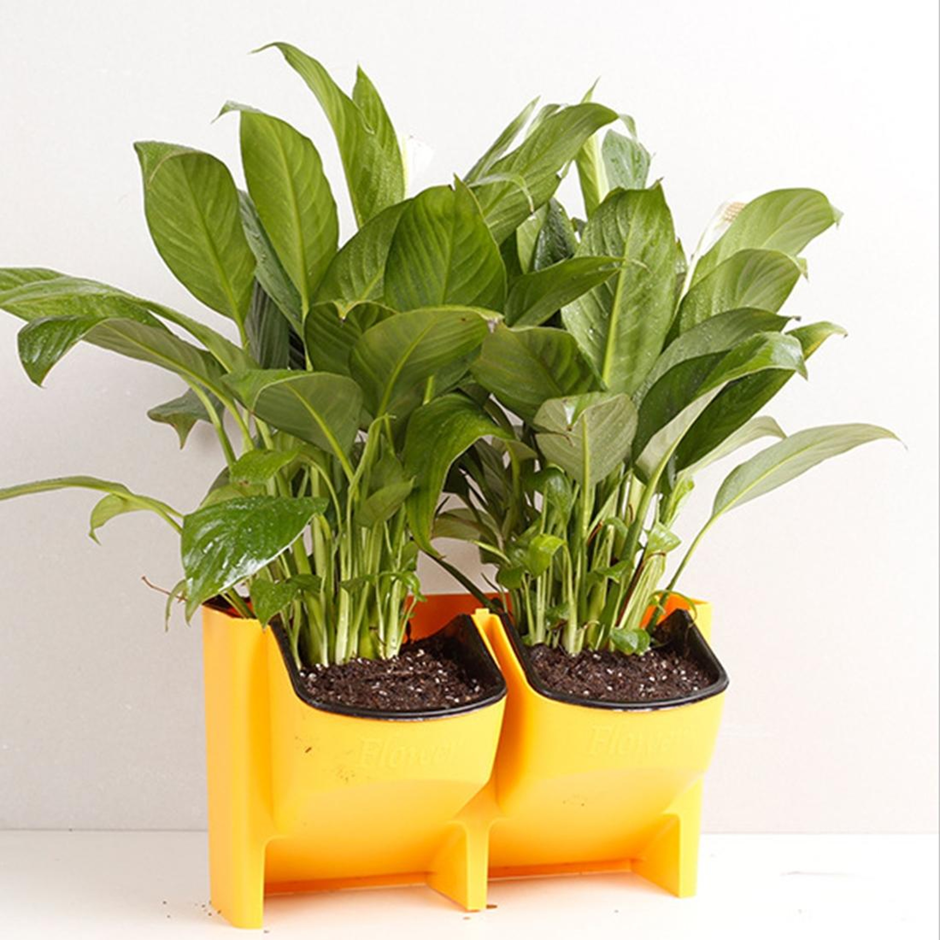 Vertical Garden Wall Planter Set with Removable Pots for Indoor Outdoor Balcony Decor – view 13