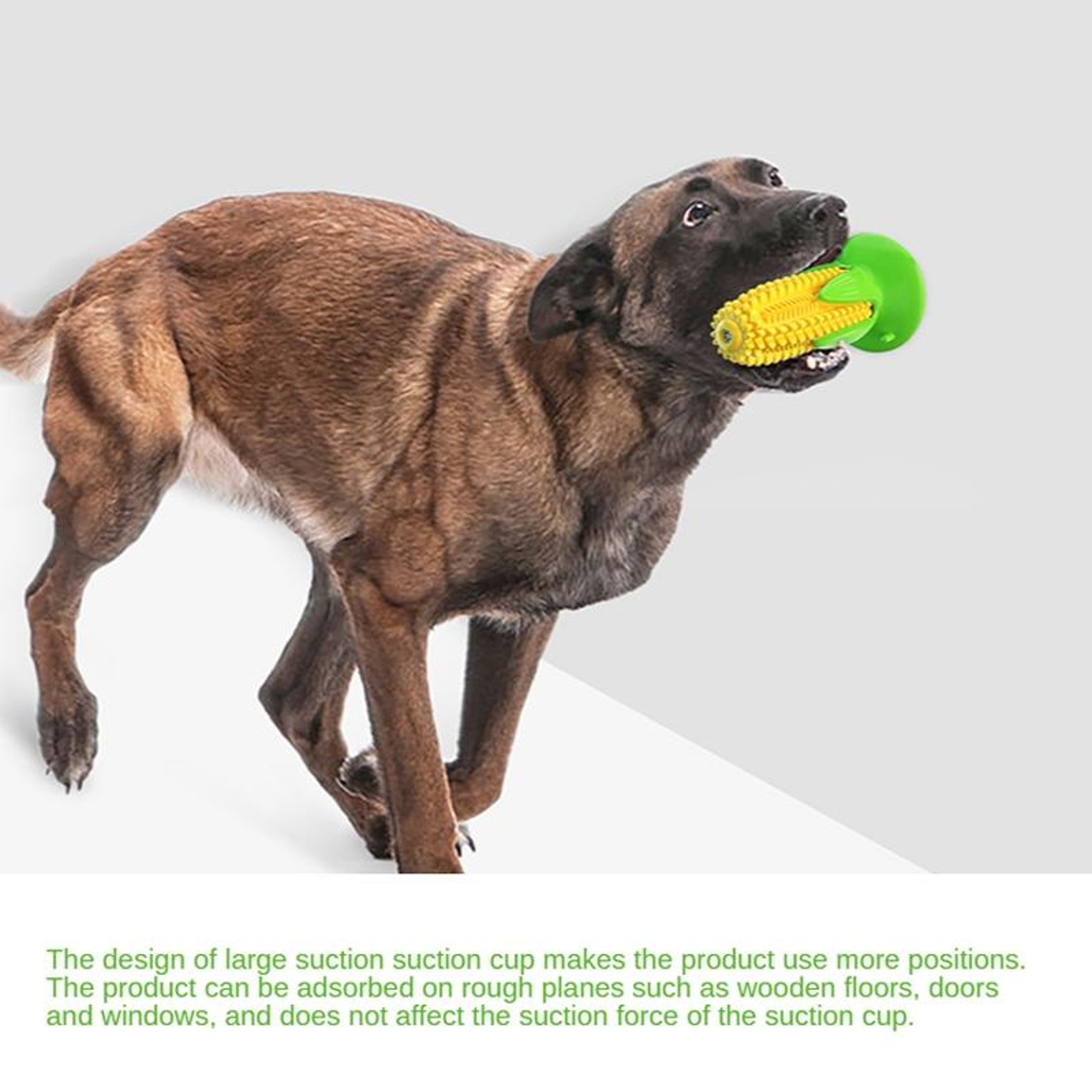 CornGrip Interactive Dog Toothbrush Toy with Suction Cup & Squeaky Dental Chew – view 6