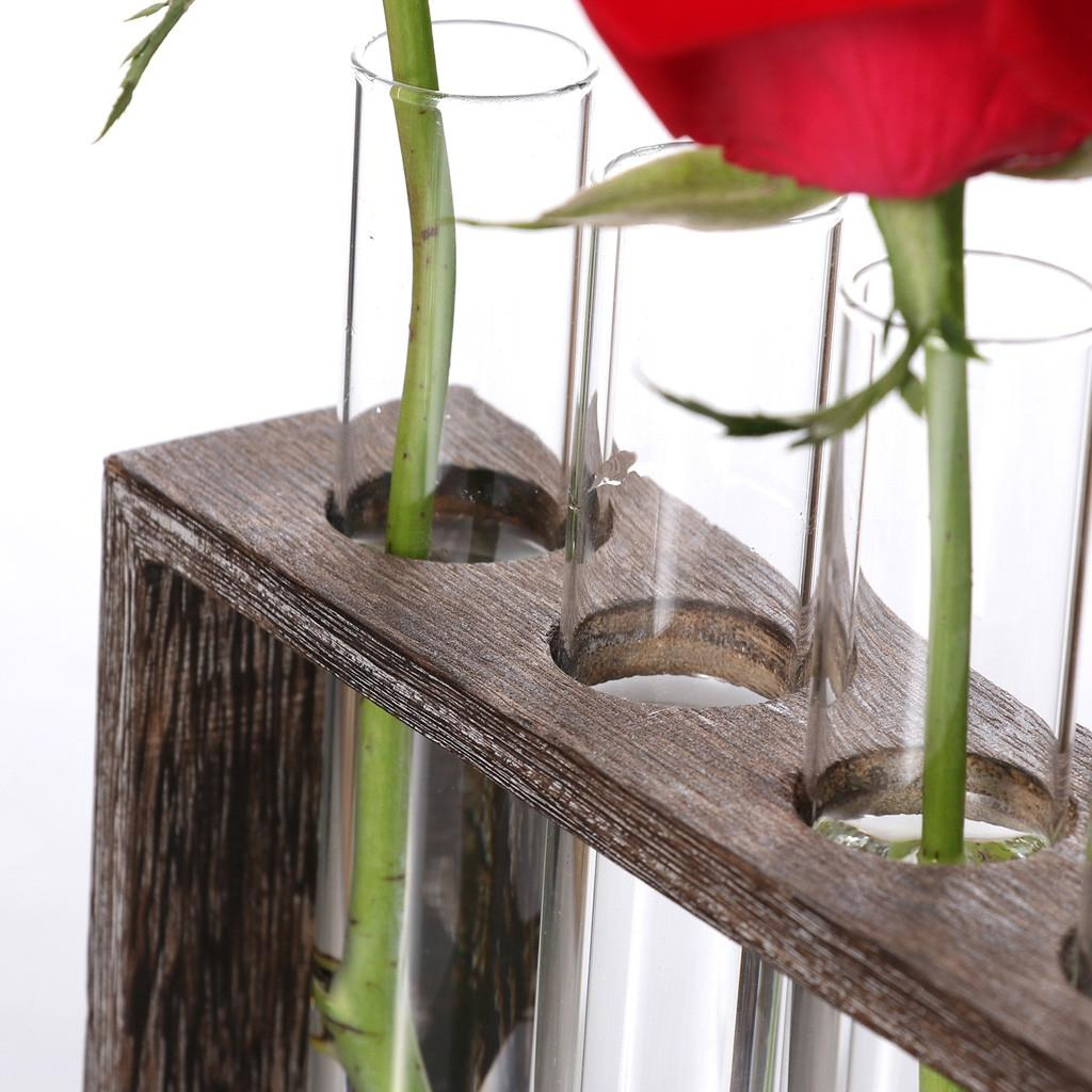 Rustic Hydroponic Glass Vase Stand with Wooden Frame Desktop Plant Propagation Decor – view 5