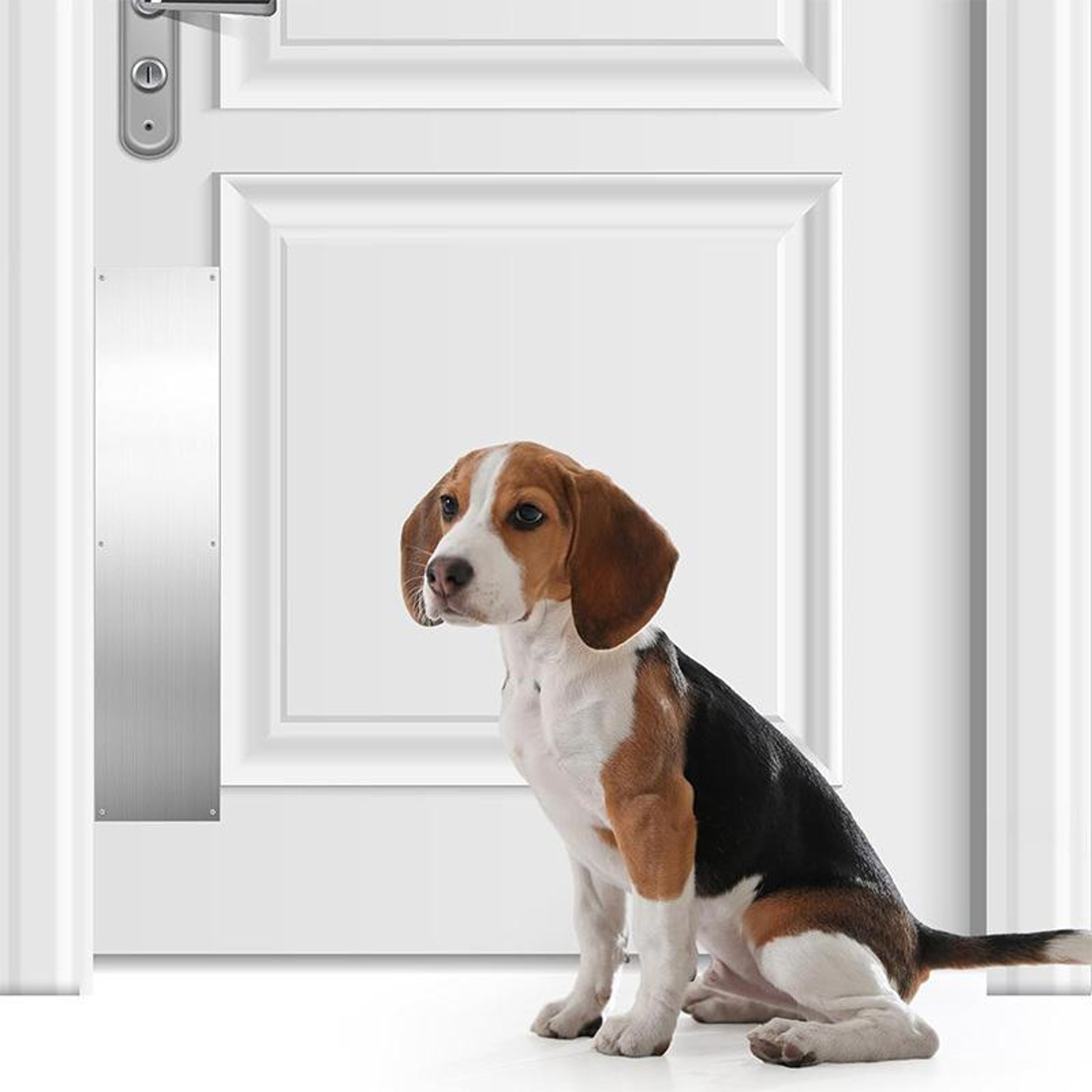 ArmorShield Stainless Steel Door Kick Plate Protector Set For Indoor  Outdoor Doors 5