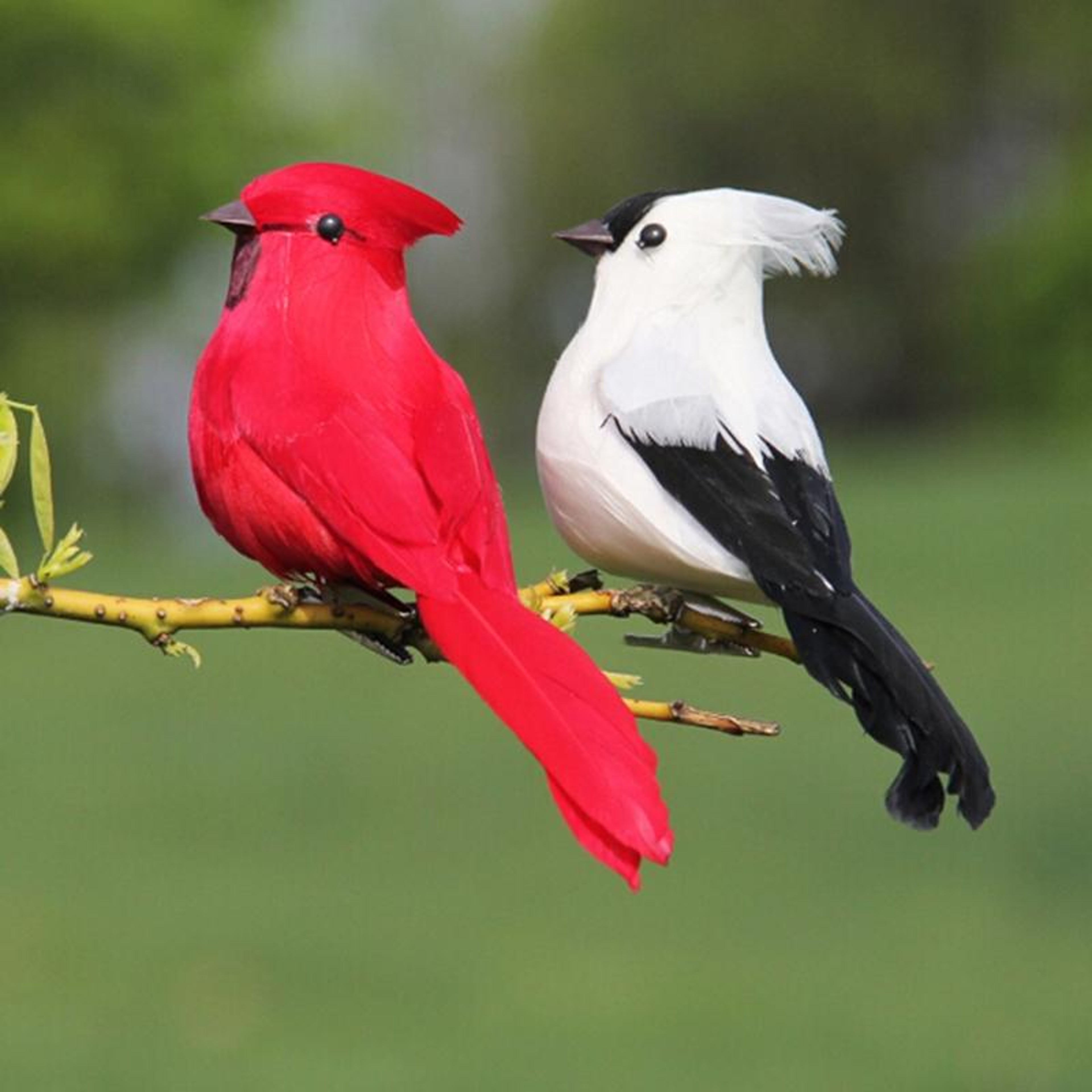 Lifelike Artificial Decorative Birds With Real Feathers ClipOn Foam Bird Decor For Weddings  Crafts 4