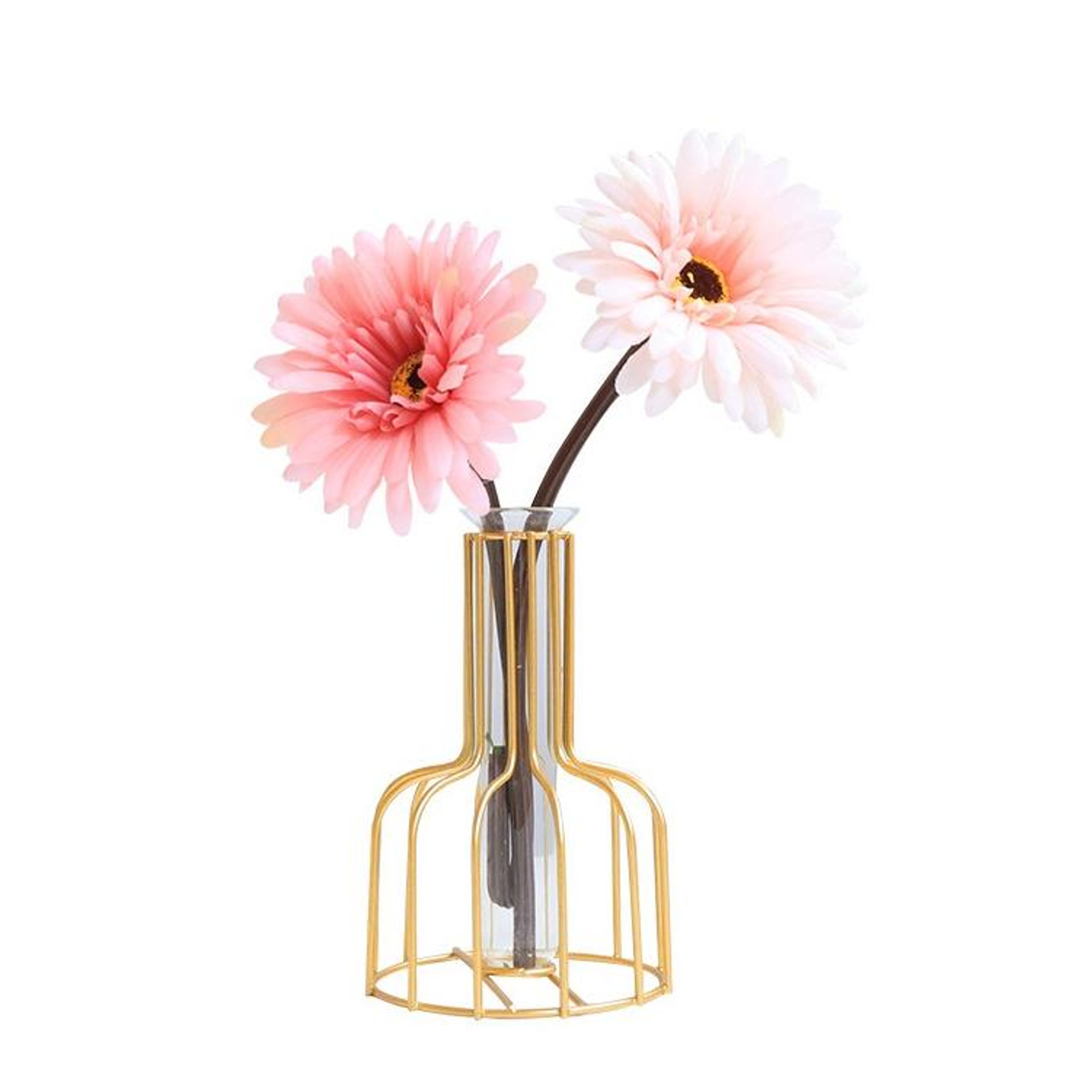 Modern Hydroponic Vase With Glass Flower Tube And Wrought Iron Stand For Home Decor 2