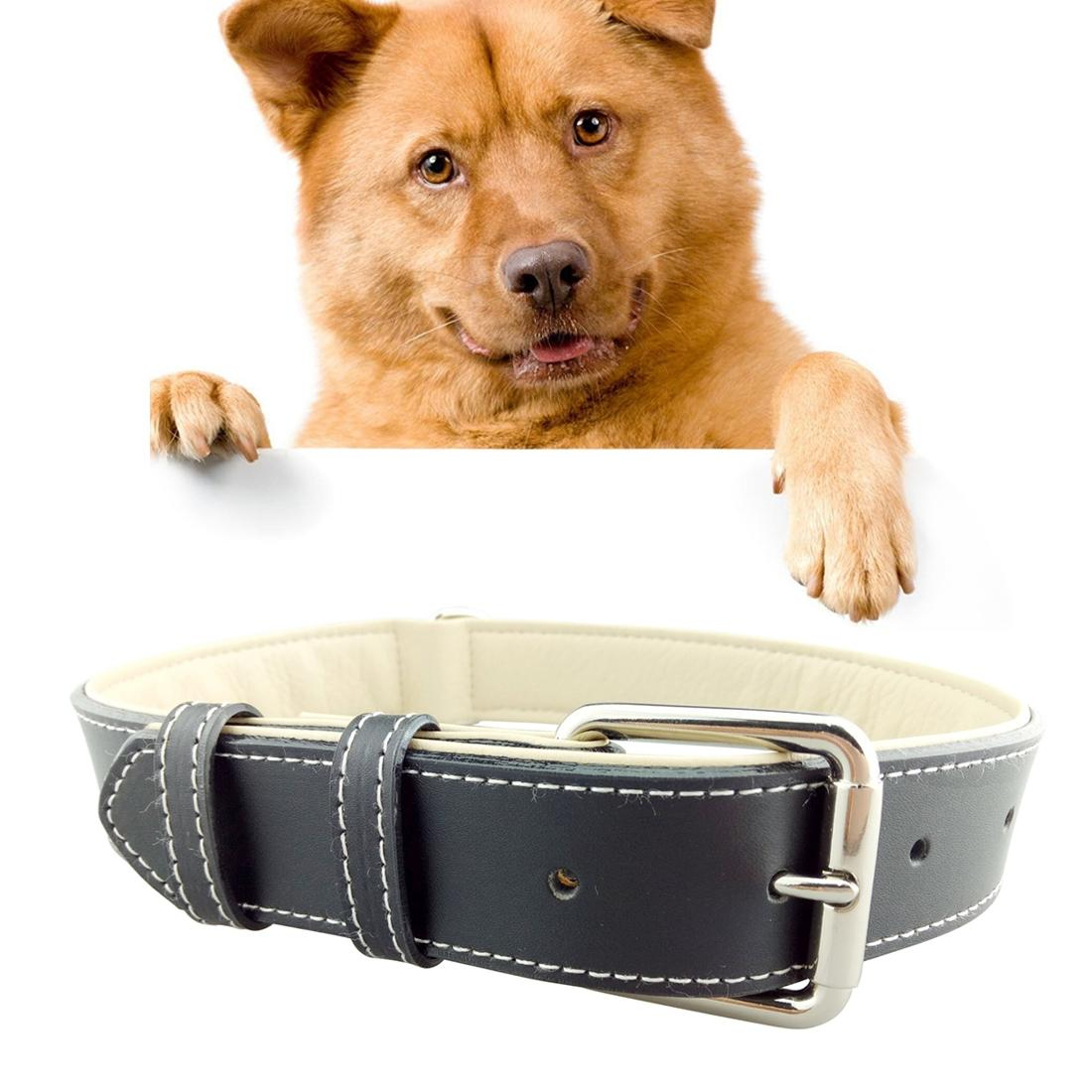Premium Leather Dog Collar For Large Dogs Adjustable Durable Training  Walking Collar 0