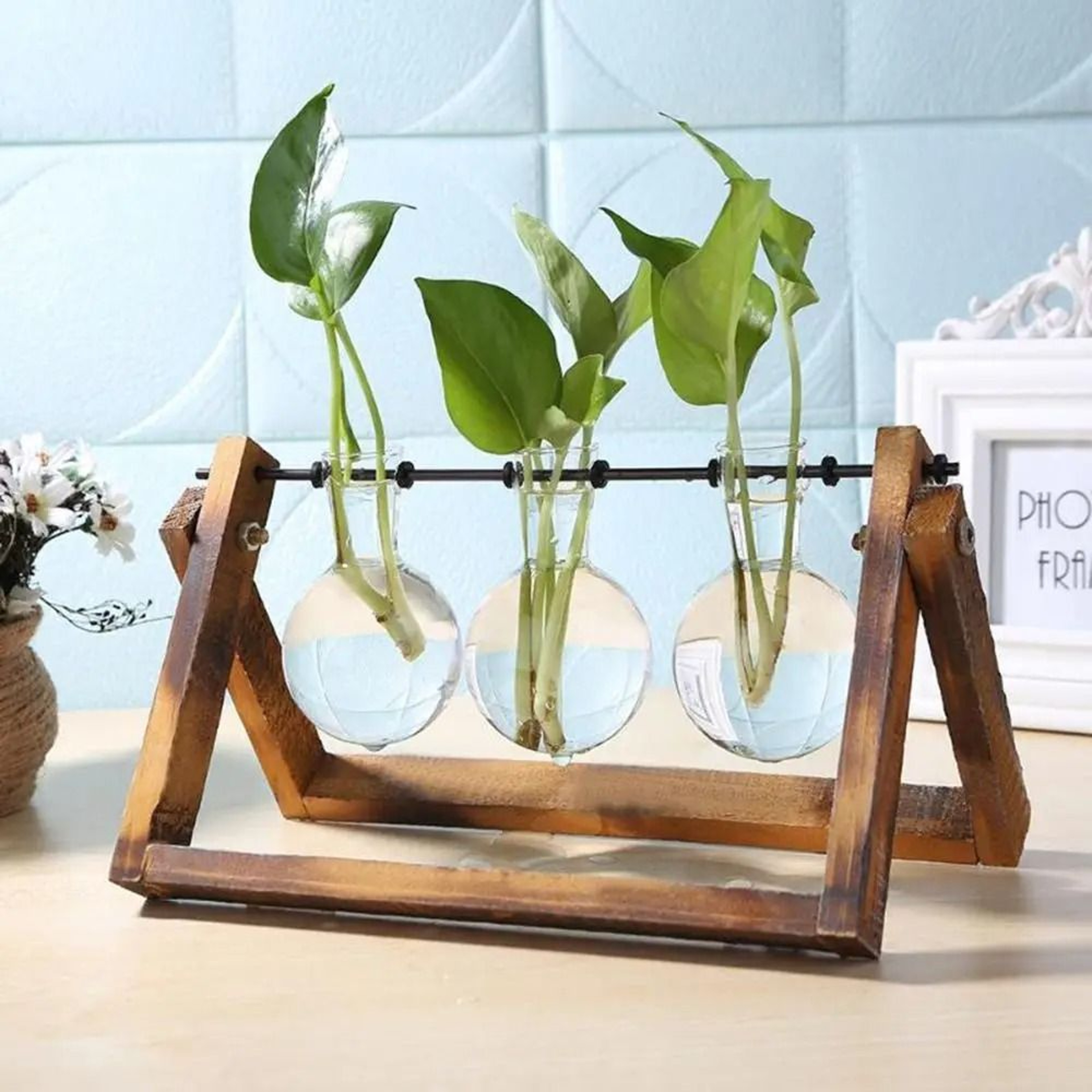 Wooden Frame Glass Terrarium Tabletop Planter For Indoor Plants 1