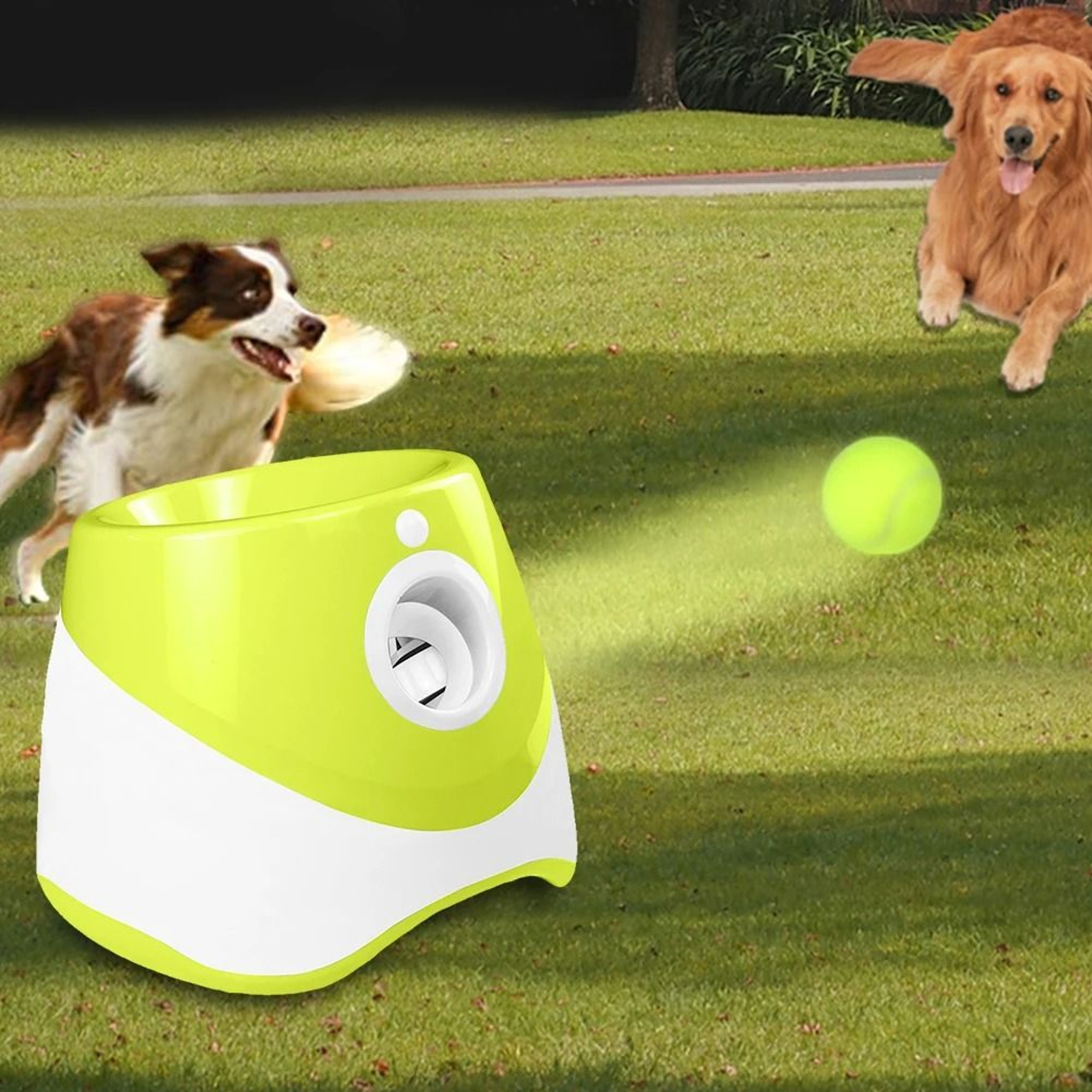 Automatic Dog Tennis Ball Launcher Rechargable 1
