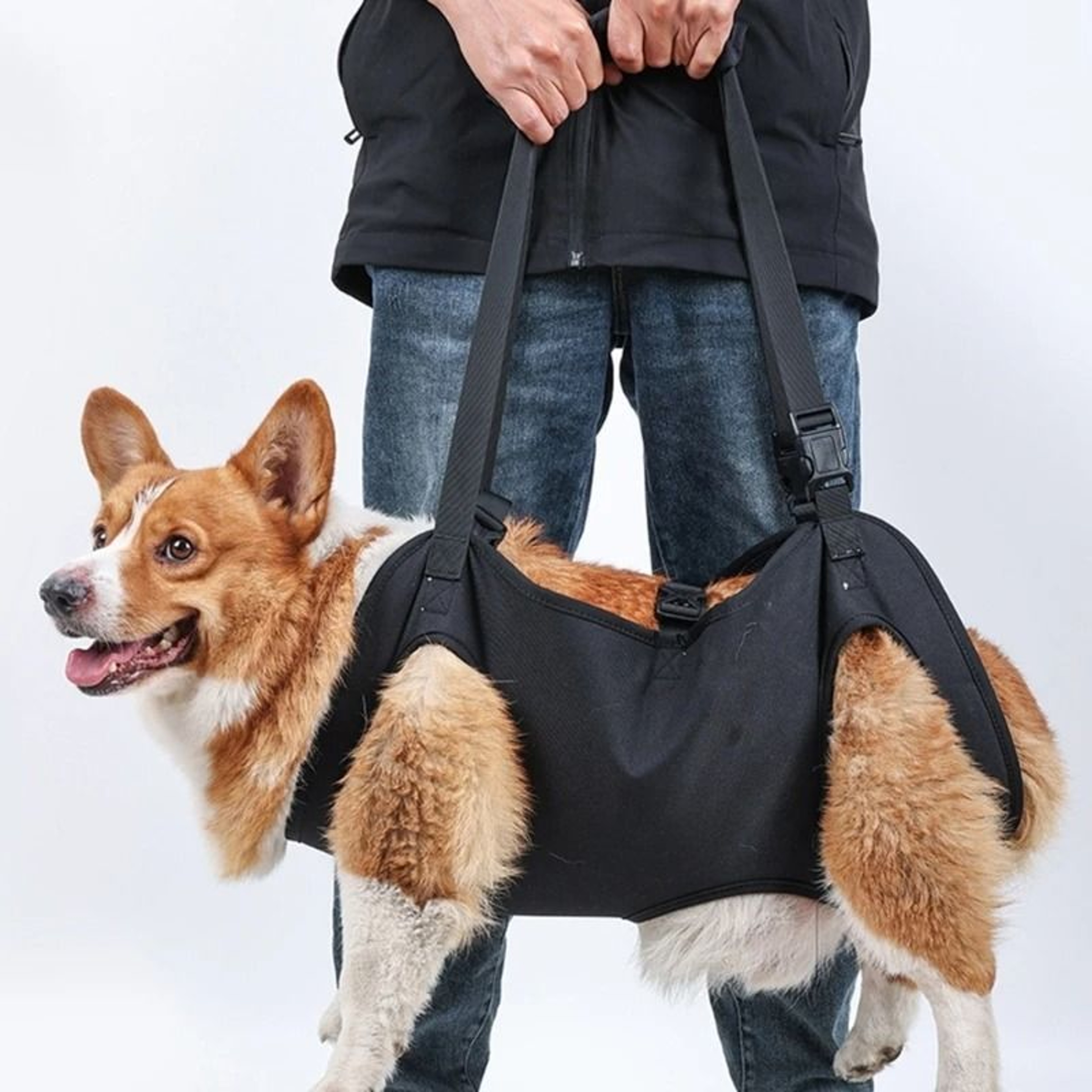 Dog Lift Support Harness For Injured Or Elderly Dogs 1